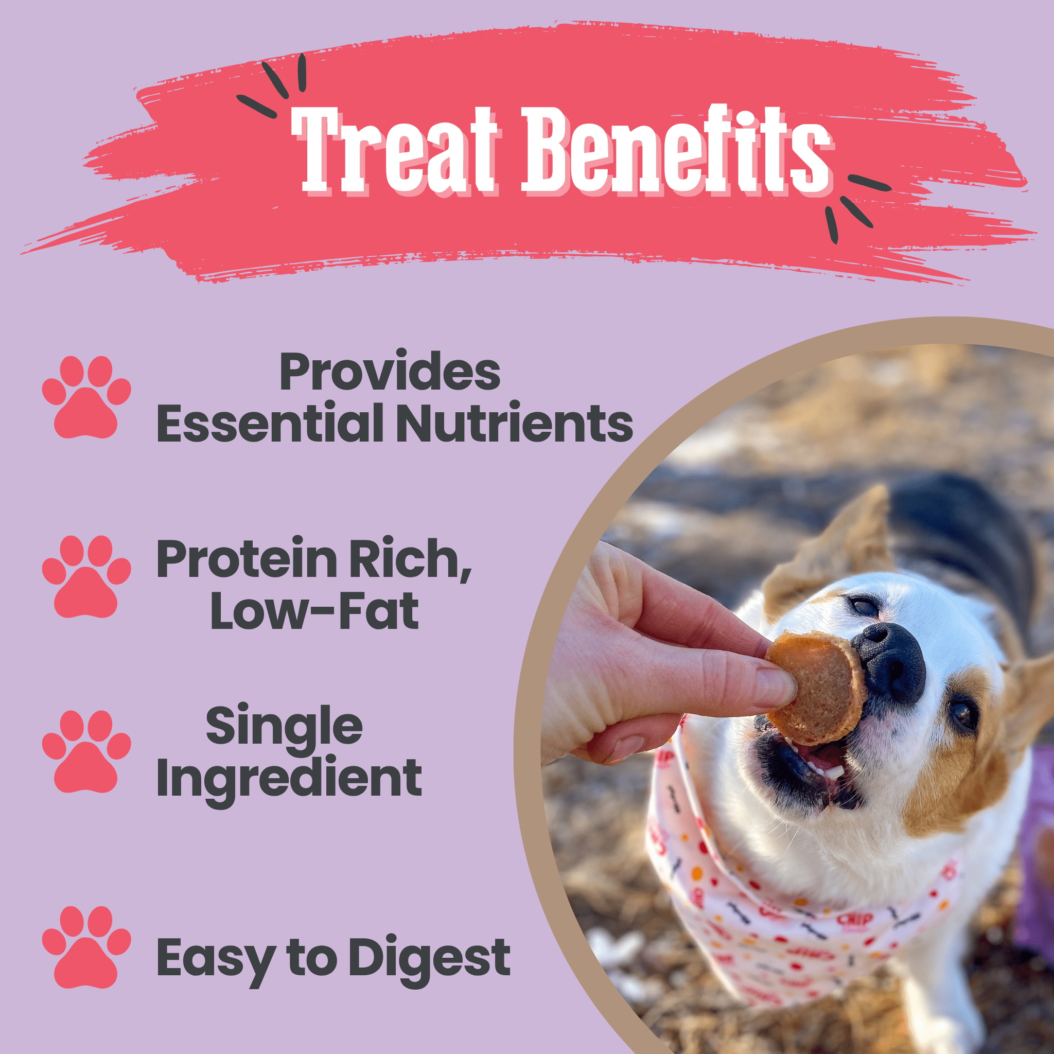 Puppy Love Dog Treat Duo | Poultry Chip Variety Pack - MaisonBeach