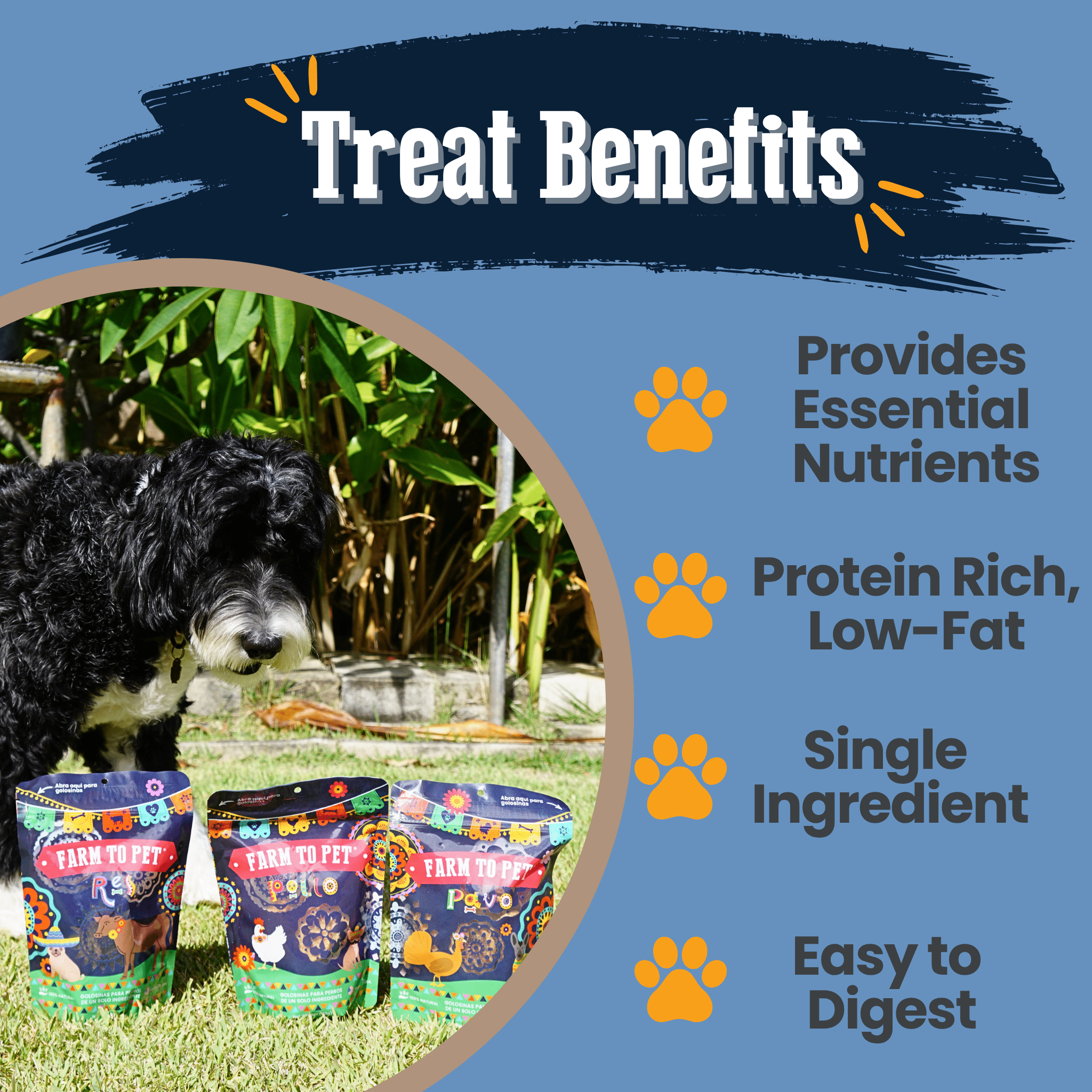 Premios Para Perros Fiesta Pack | Dog Treat Variety Bundle - MaisonBeach