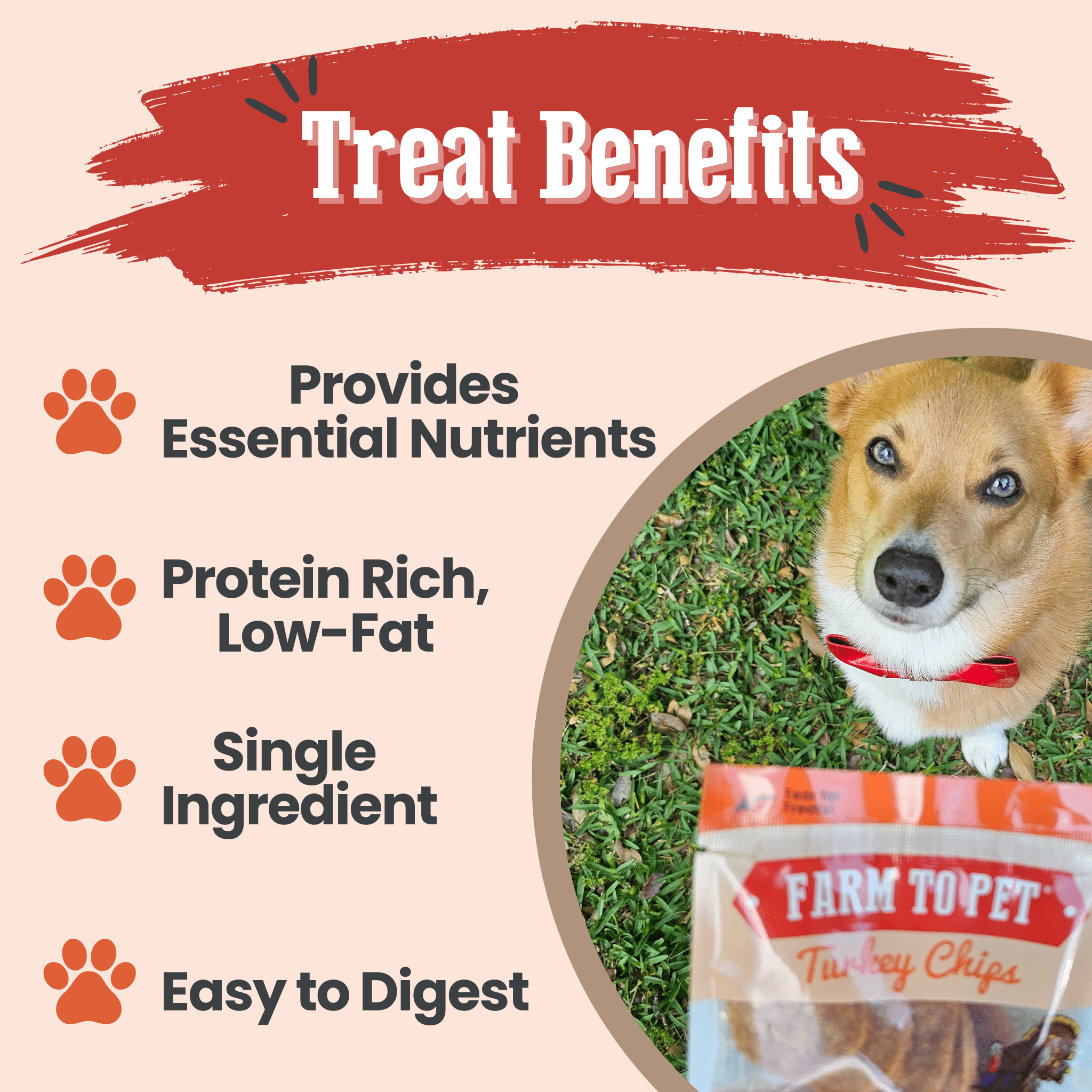 Turkey Chips Snack Pack Bundles | Low Allergen Treats for Training - MaisonBeach