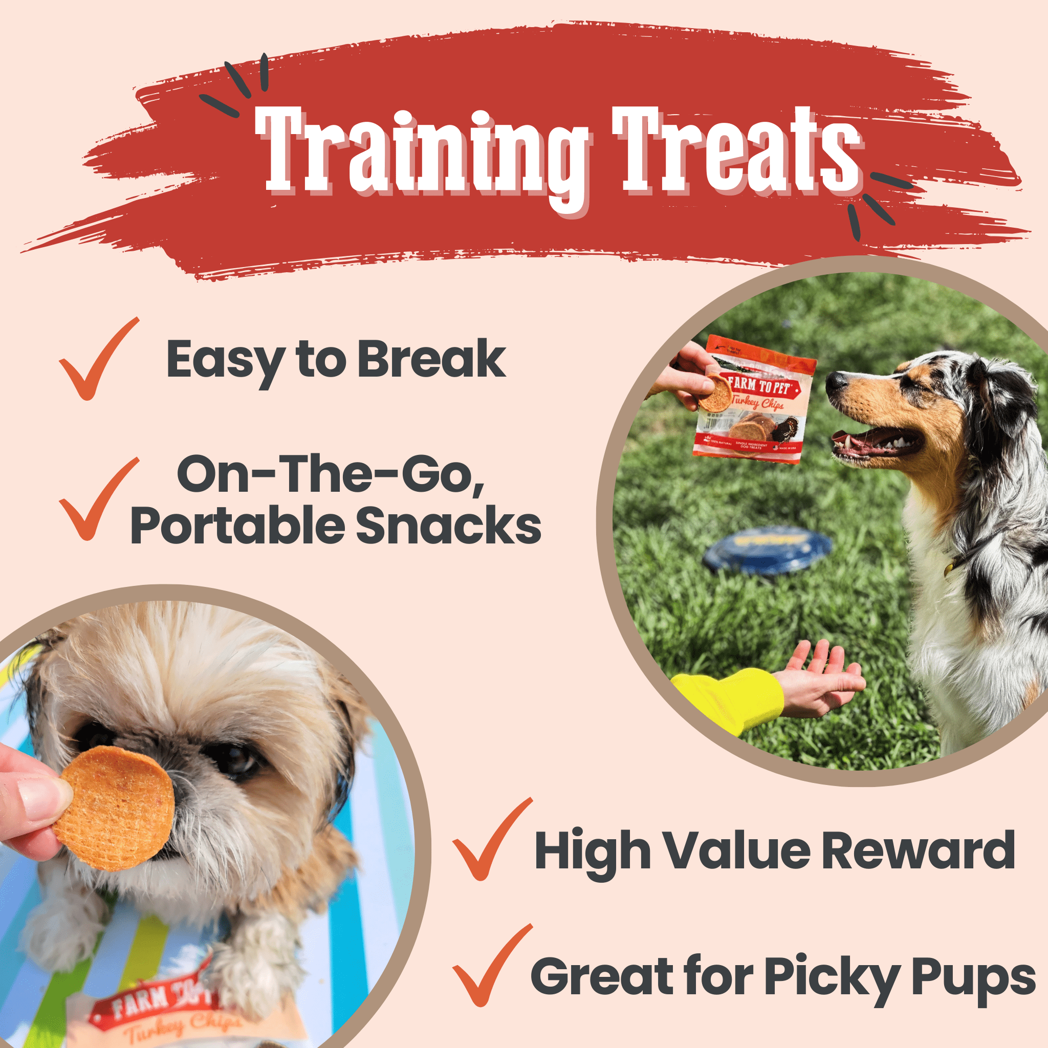 Turkey Chips Snack Pack Bundles | Low Allergen Treats for Training - MaisonBeach