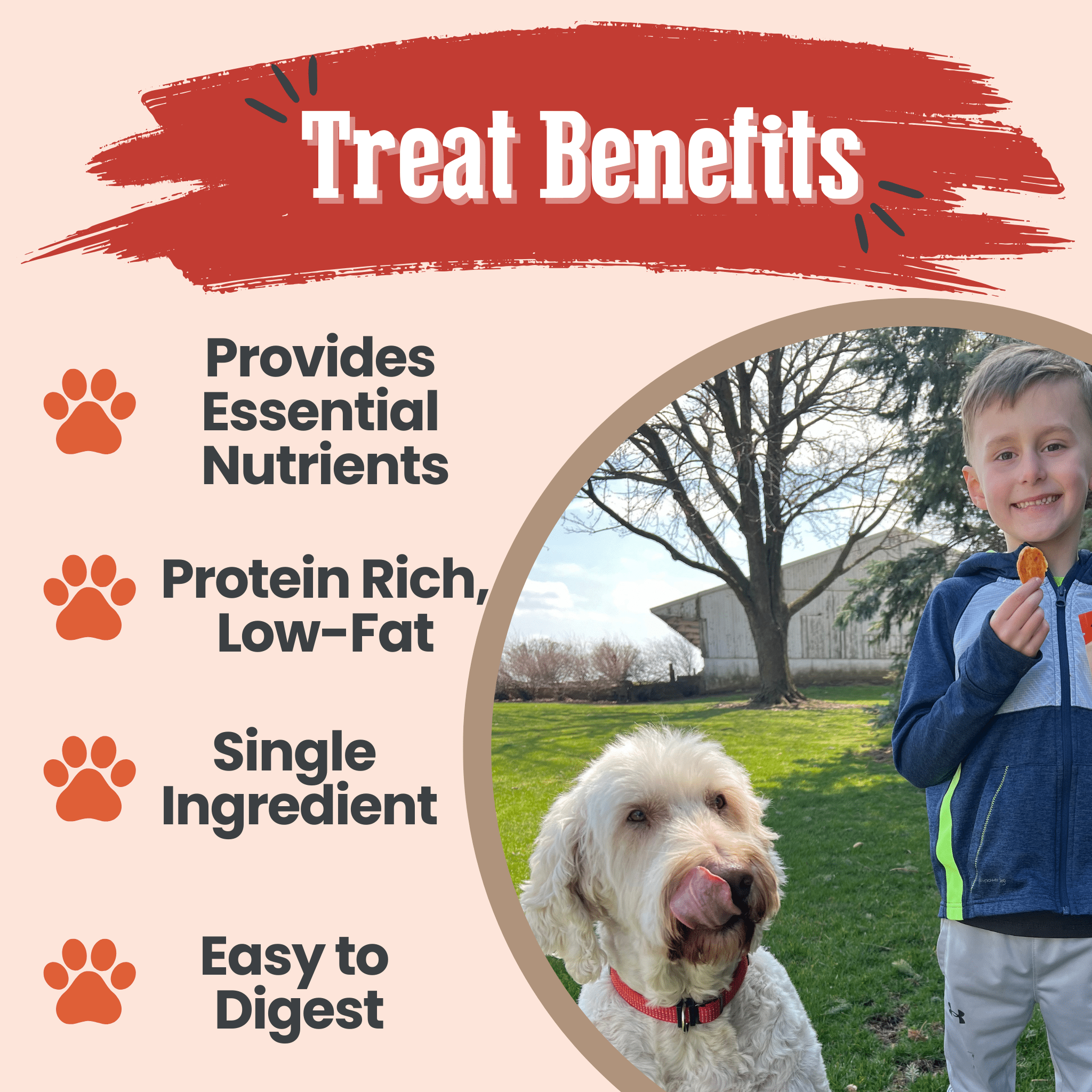 Turkey Chips for Dogs | All-Natural Single-Ingredient Healthy Dog Treats - MaisonBeach