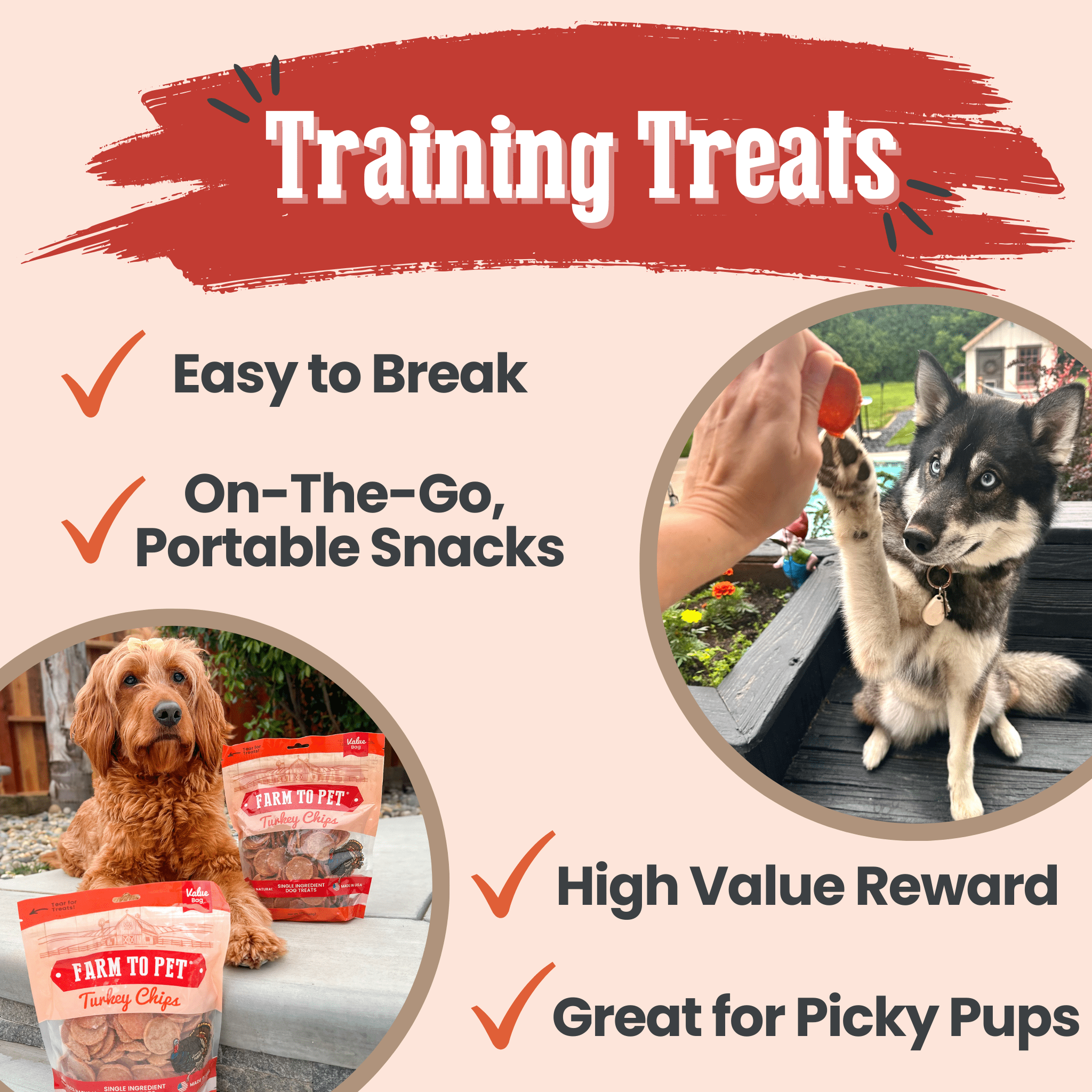 Turkey Chips for Dogs | All-Natural Single-Ingredient Healthy Dog Treats - MaisonBeach