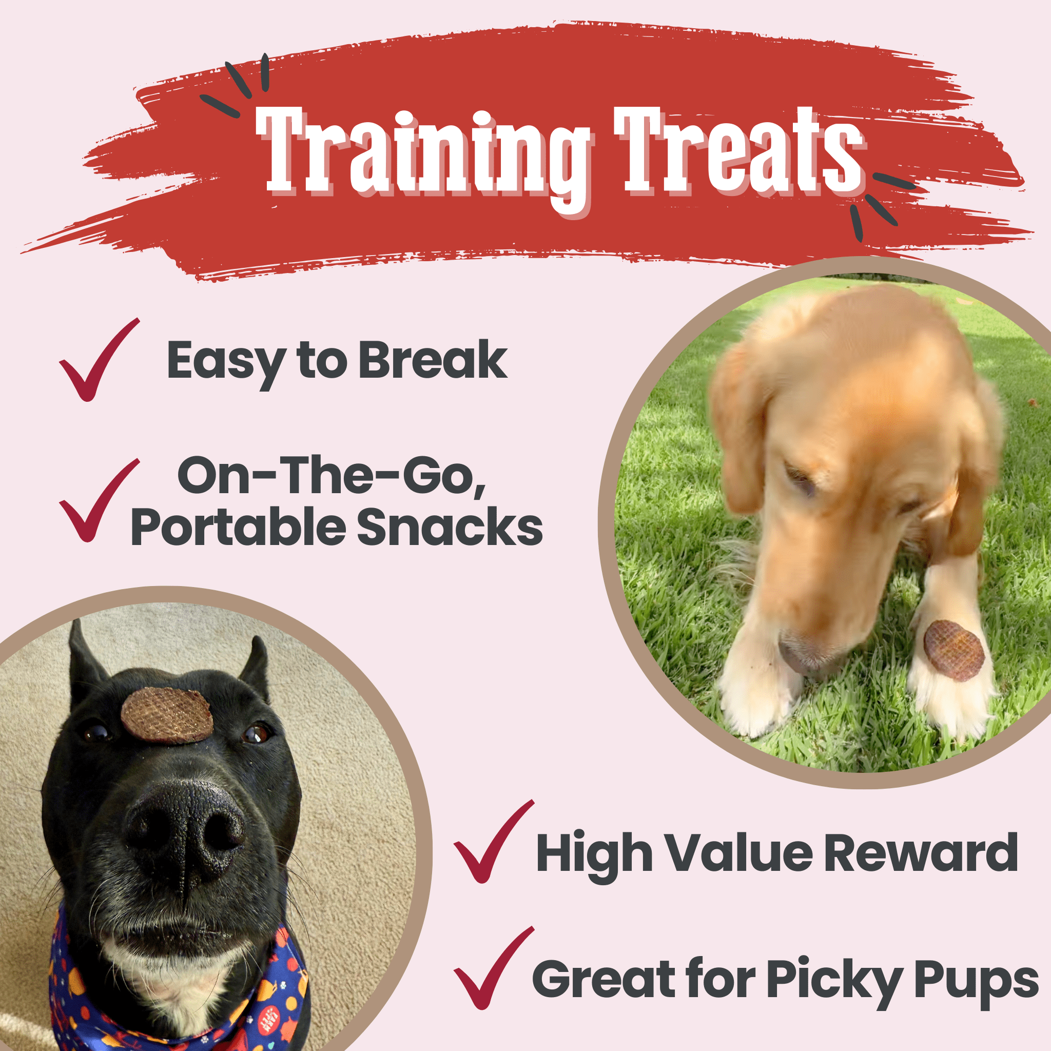 Beef Chips Dog Treats | Single-Ingredient Healthy Treats for Dogs - MaisonBeach