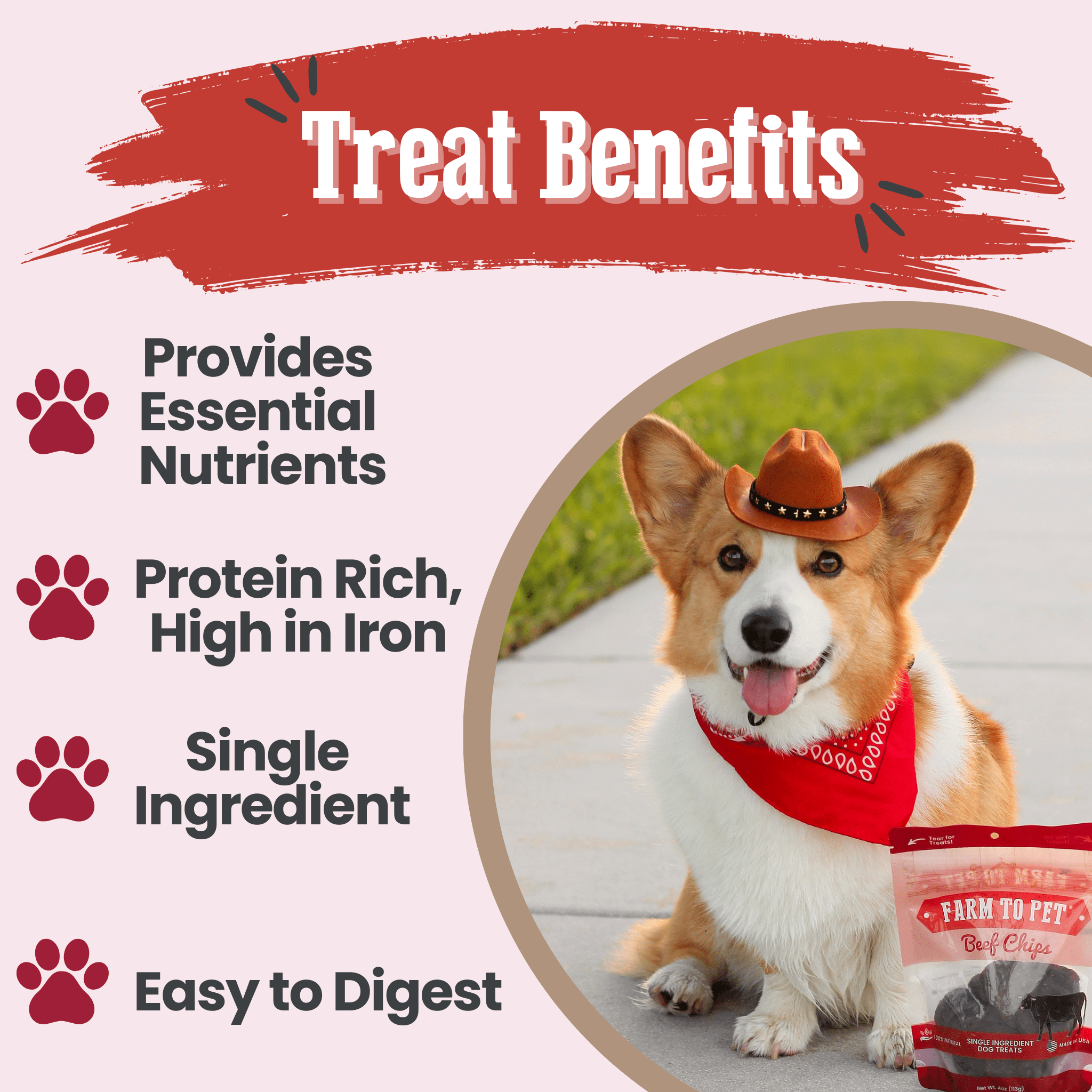 Beef Chips Dog Treats | Single-Ingredient Healthy Treats for Dogs - MaisonBeach