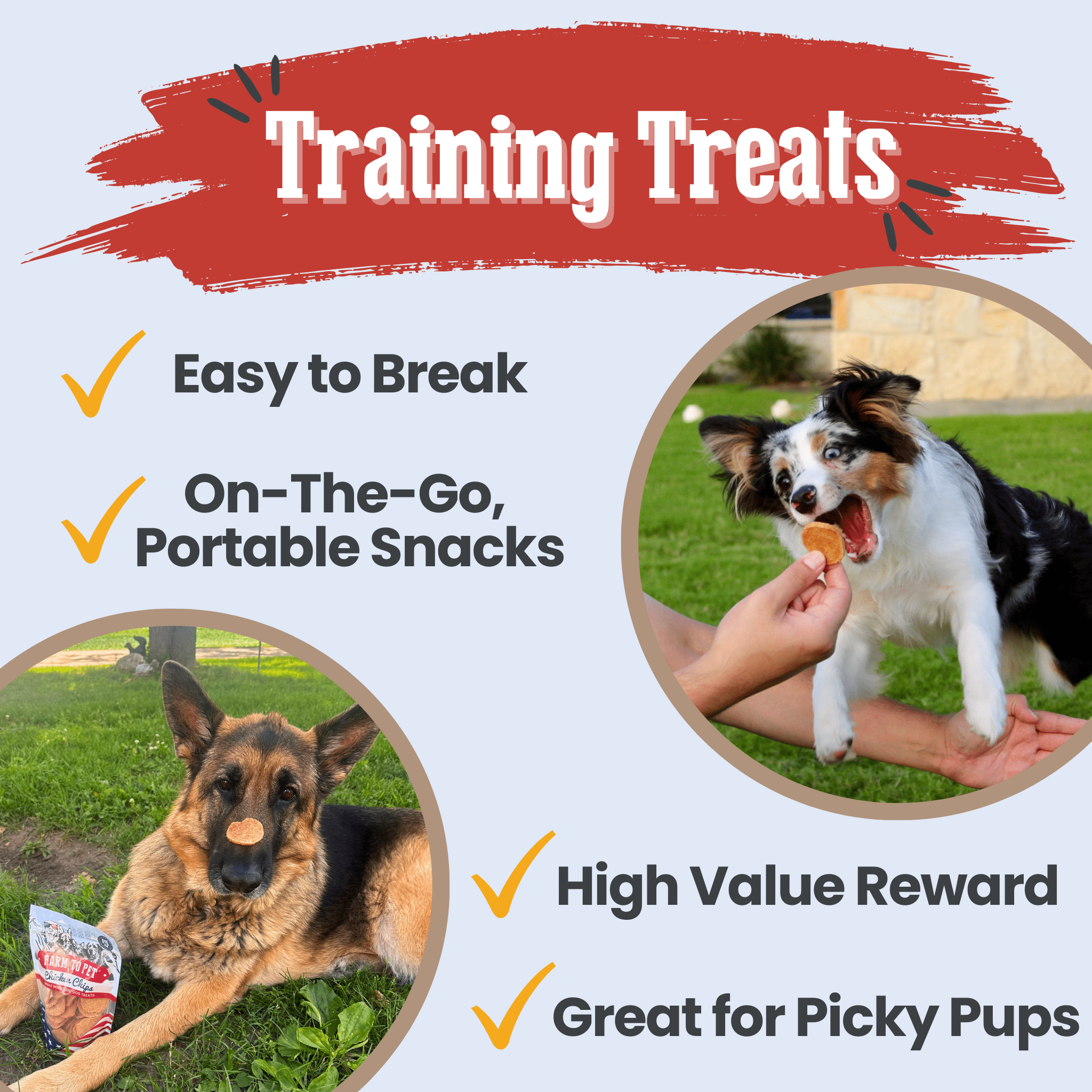 Americana Chicken Chips for Dogs | Celebrate with USA-made Dog Treats - MaisonBeach