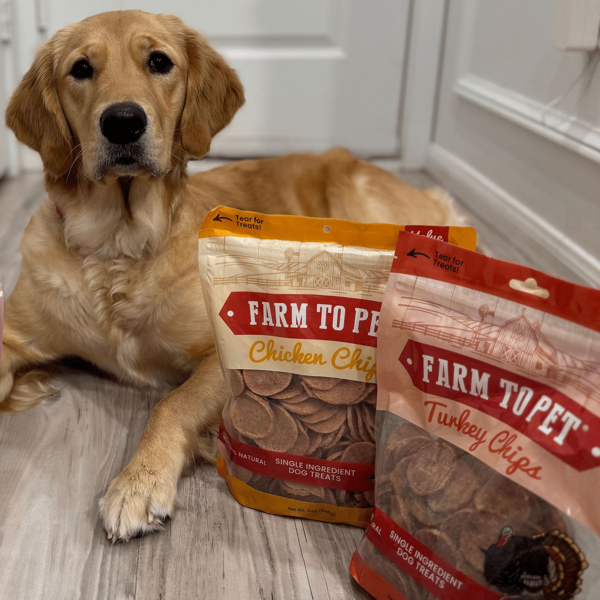 Turkey & Chicken Chip Dog Treat Duo | Single-Ingredient Poultry Treats for Dogs - MaisonBeach