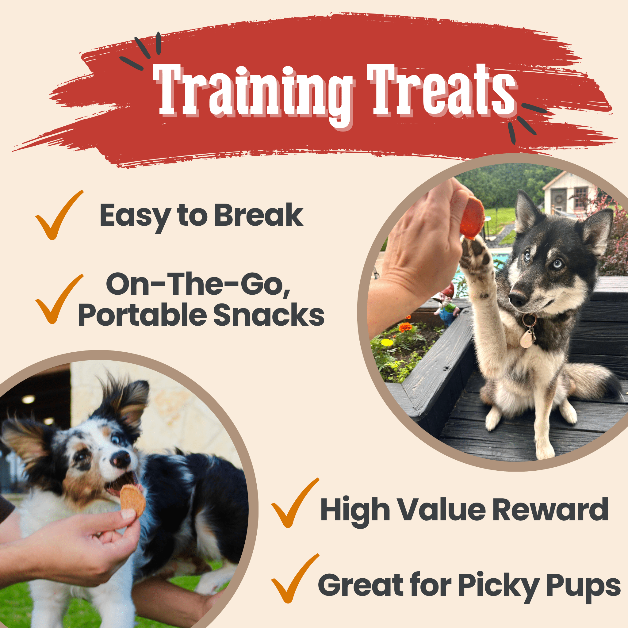 Turkey & Chicken Chip Dog Treat Duo | Single-Ingredient Poultry Treats for Dogs - MaisonBeach