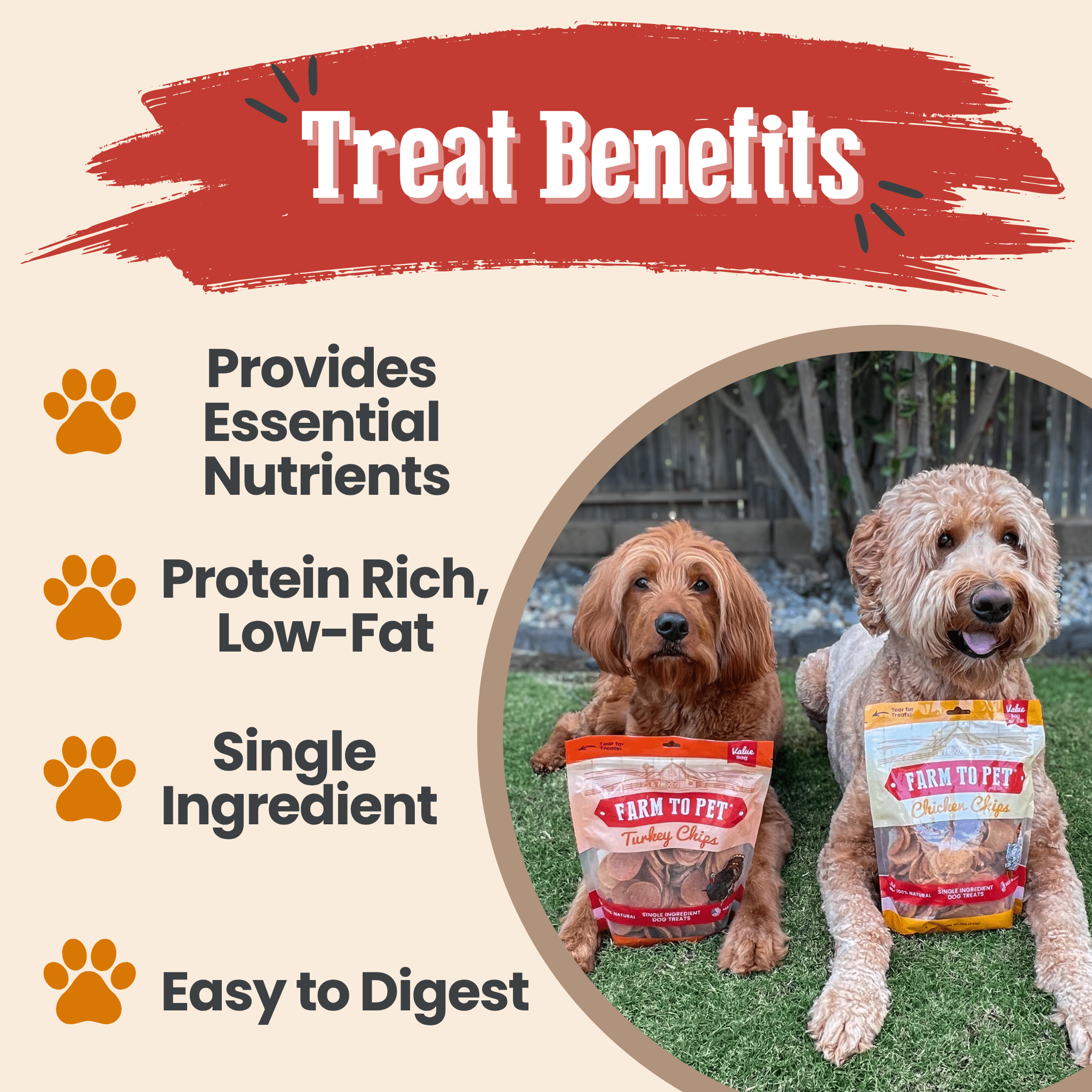 Turkey & Chicken Chip Dog Treat Duo | Single-Ingredient Poultry Treats for Dogs - MaisonBeach