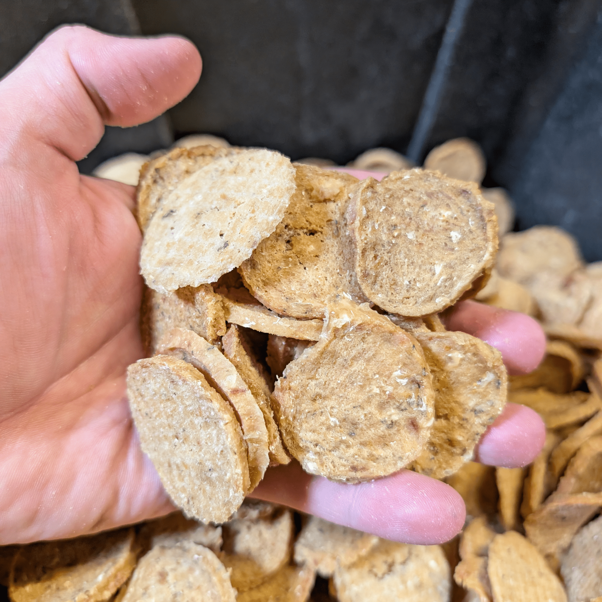 Fish Chips for Dogs | Wild-Caught Fish Dog Treats - MaisonBeach