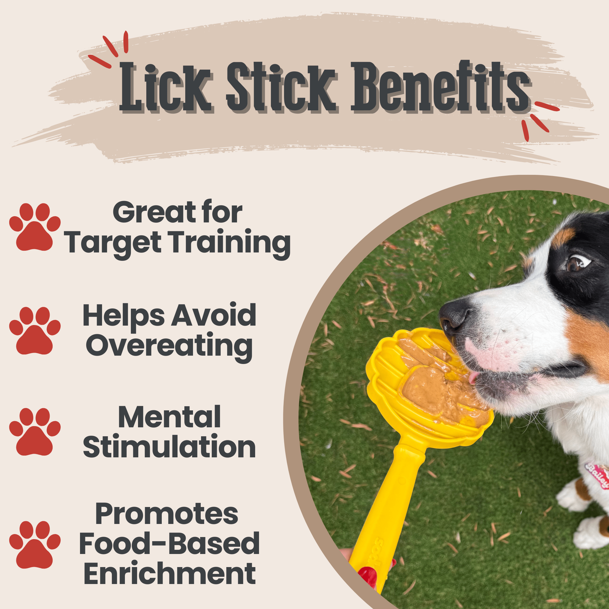Lick Sticks | Interactive Dog Training Toy - MaisonBeach