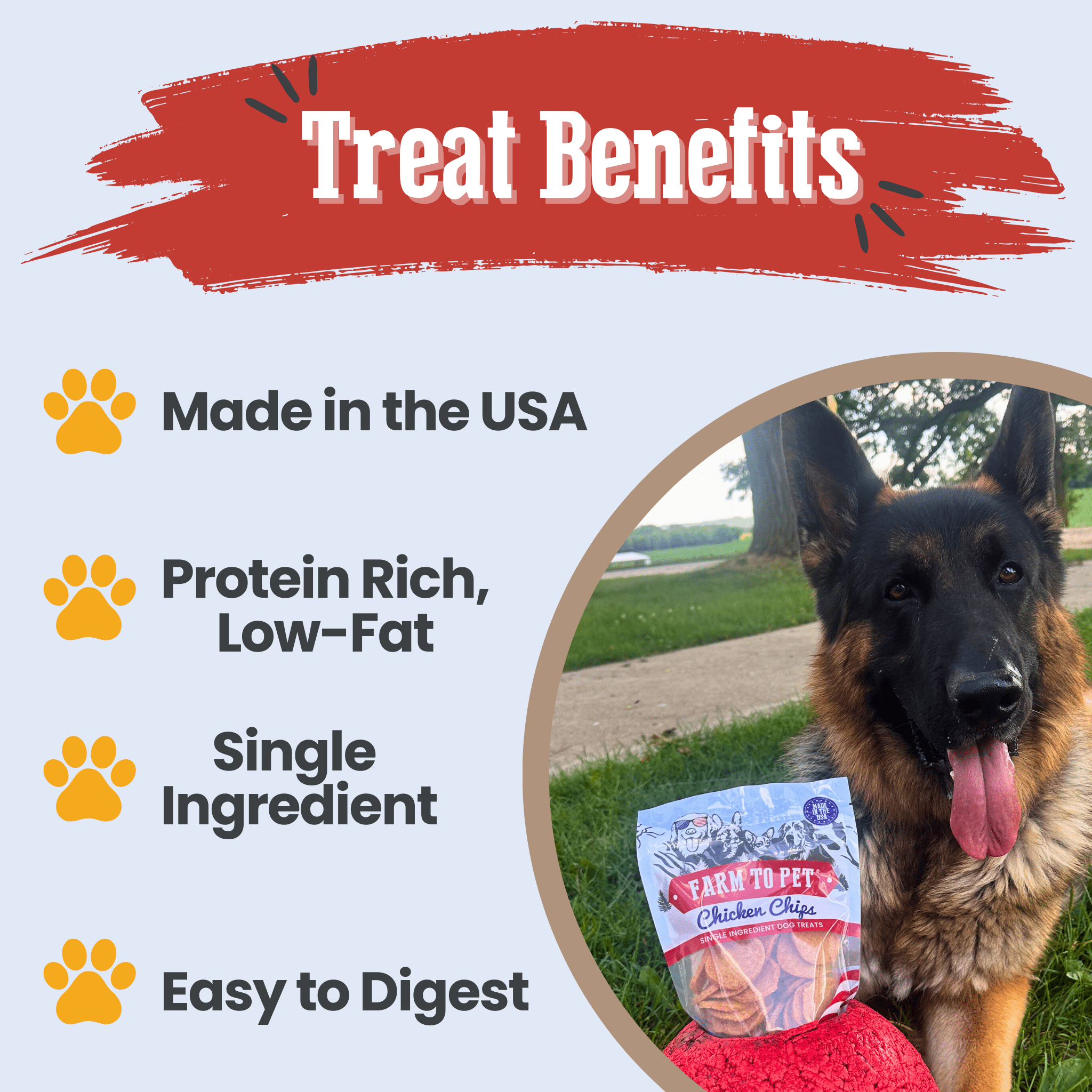Americana Chicken Chips for Dogs | Celebrate with USA-made Dog Treats - MaisonBeach