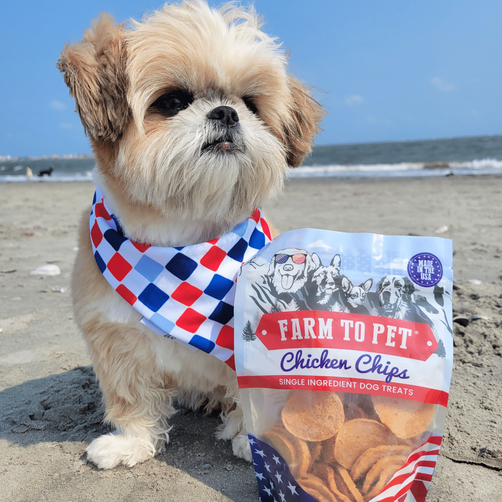 Americana Chicken Chips for Dogs | Celebrate with USA-made Dog Treats - MaisonBeach