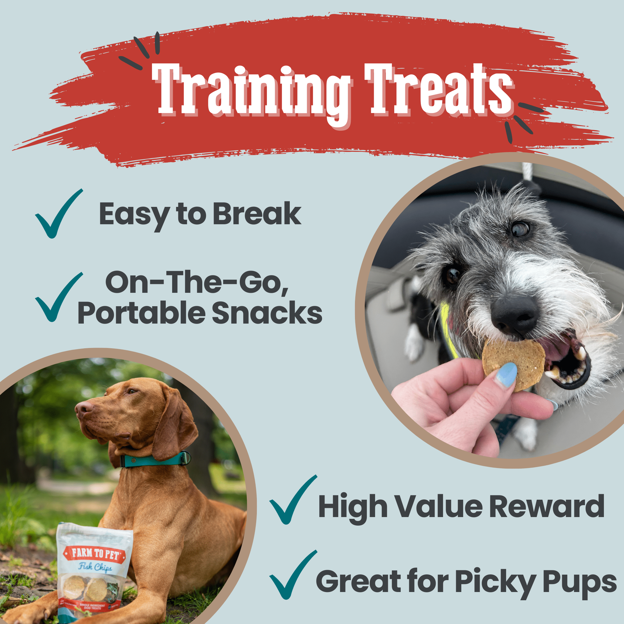 Fish Chips for Dogs | Wild-Caught Fish Dog Treats - MaisonBeach