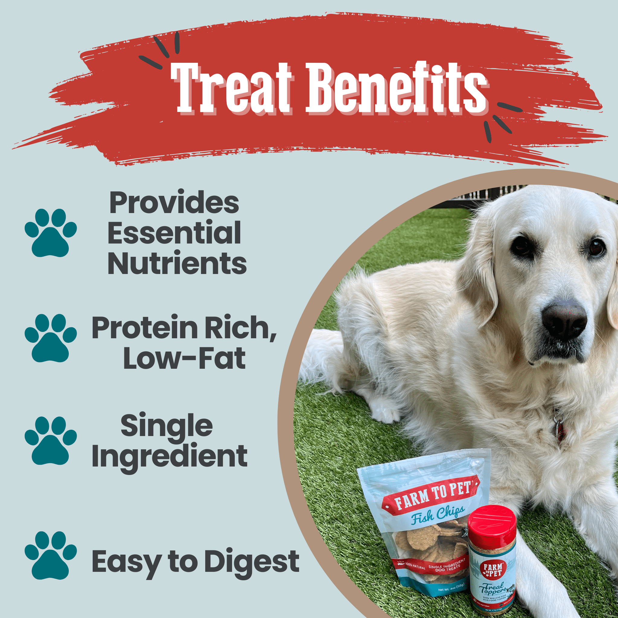 Fish Chips for Dogs | Wild-Caught Fish Dog Treats - MaisonBeach
