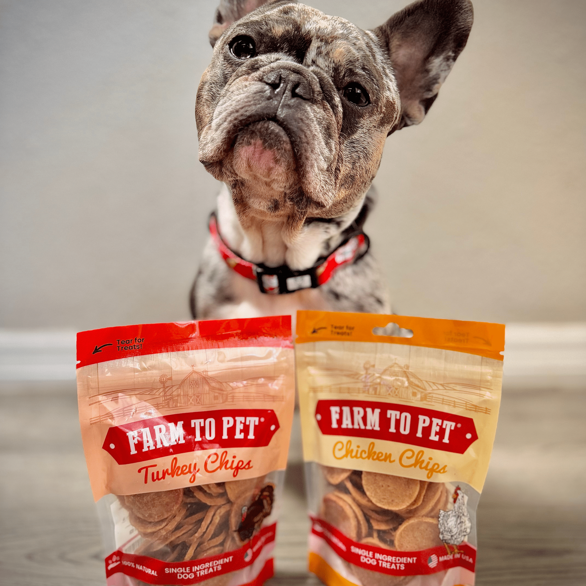 Turkey & Chicken Chip Dog Treat Duo | Single-Ingredient Poultry Treats for Dogs - MaisonBeach
