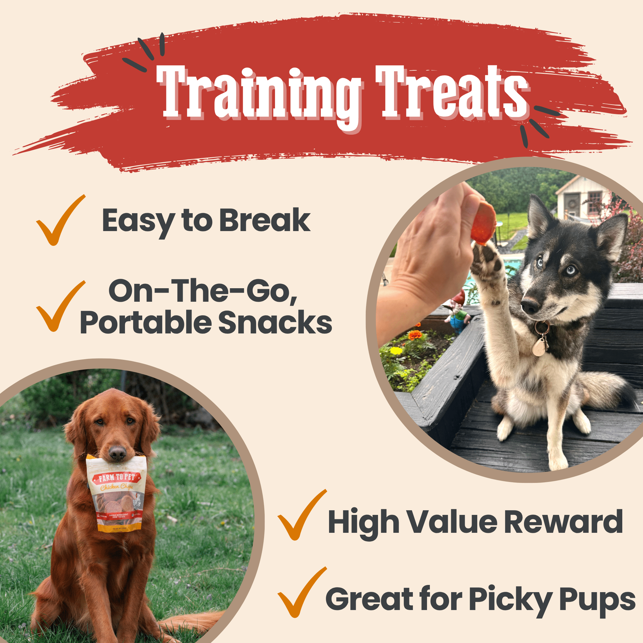 Turkey & Chicken Chip Dog Treat Duo | Single-Ingredient Poultry Treats for Dogs - MaisonBeach