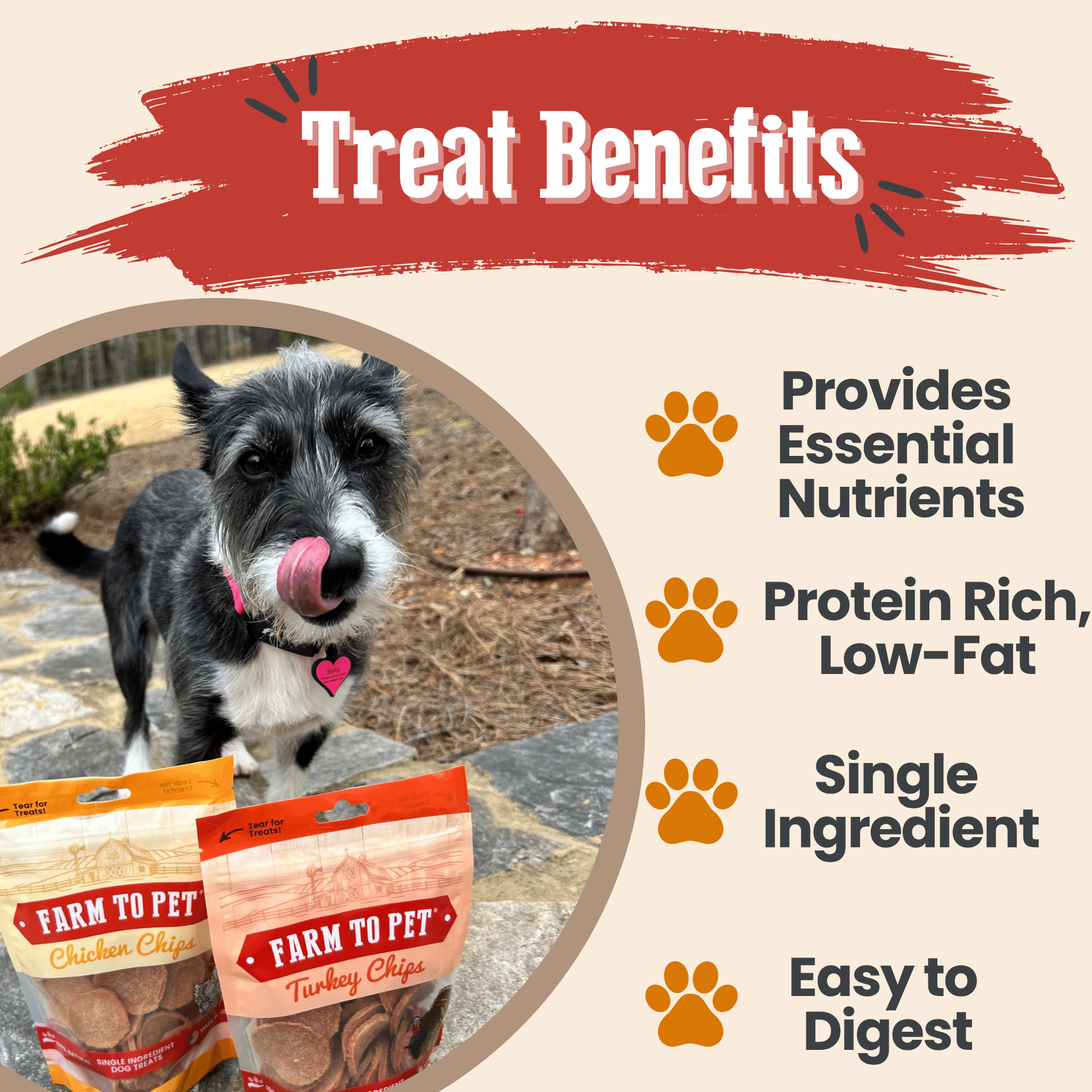 Turkey & Chicken Chip Dog Treat Duo | Single-Ingredient Poultry Treats for Dogs - MaisonBeach