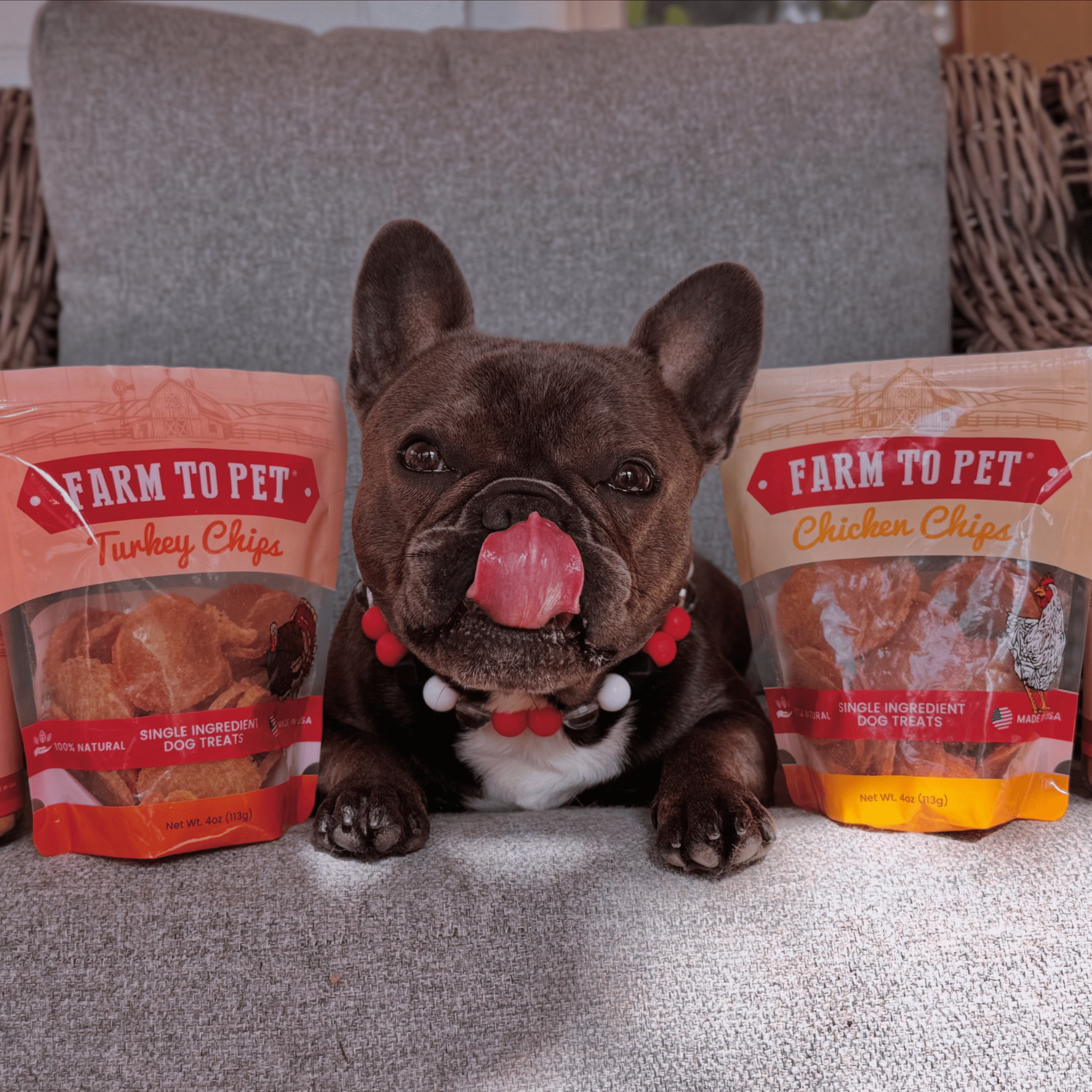 Turkey & Chicken Chip Dog Treat Duo | Single-Ingredient Poultry Treats for Dogs - MaisonBeach
