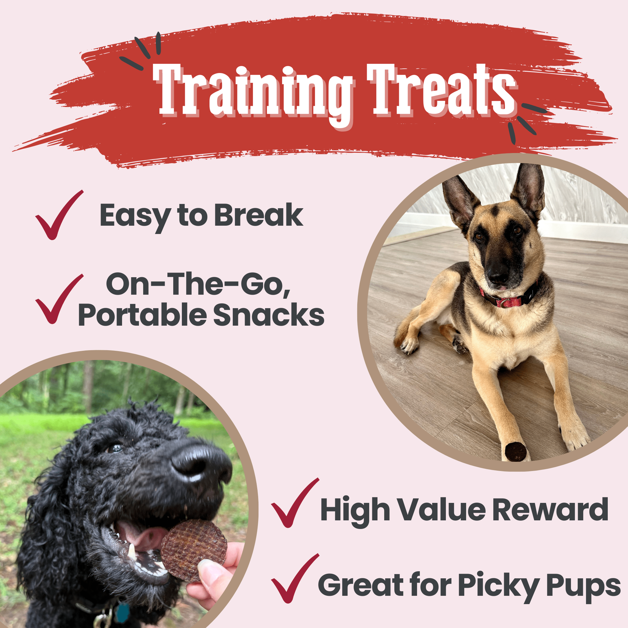 Beef Chips Dog Treats | Single-Ingredient Healthy Treats for Dogs - MaisonBeach
