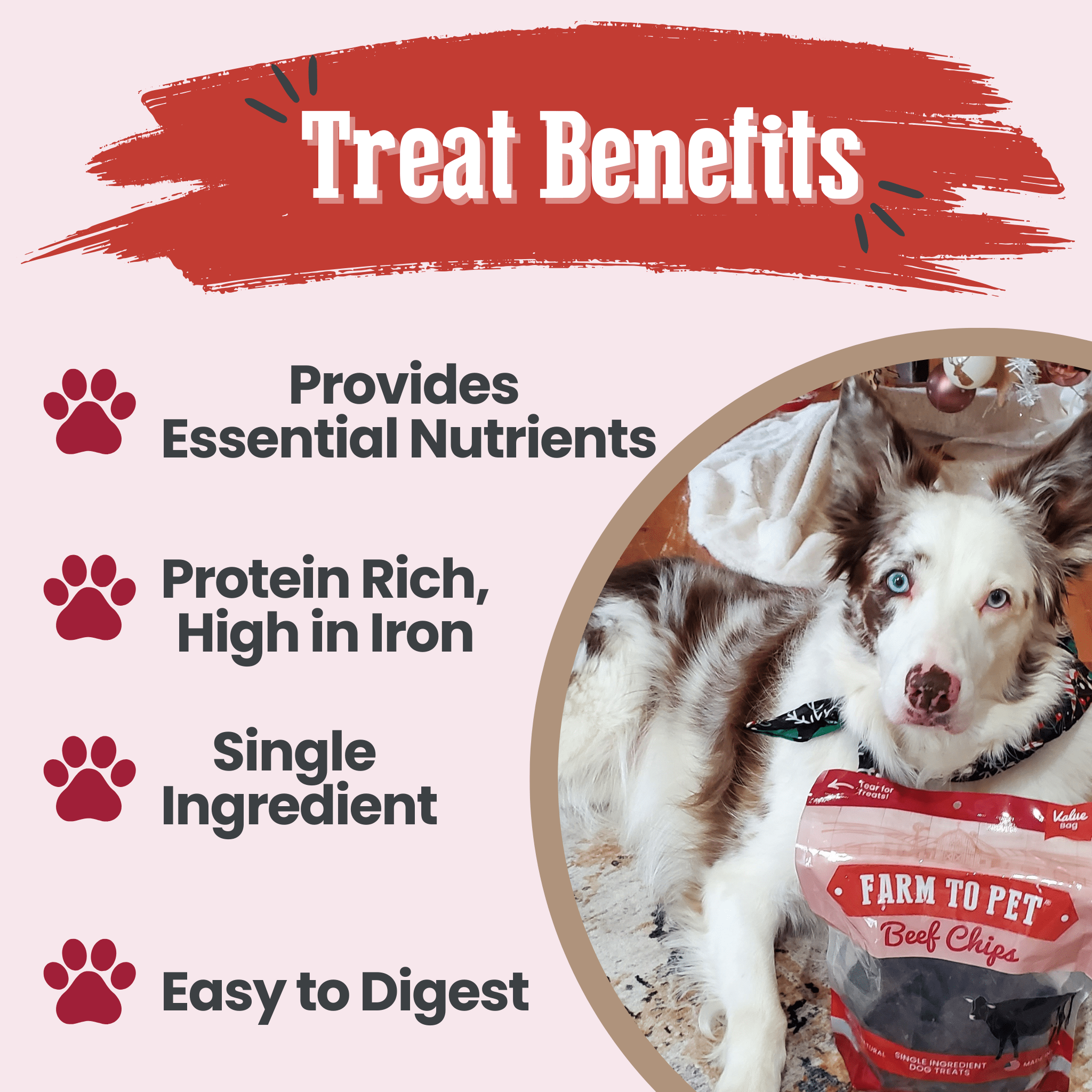 Beef Chips Dog Treats | Single-Ingredient Healthy Treats for Dogs - MaisonBeach