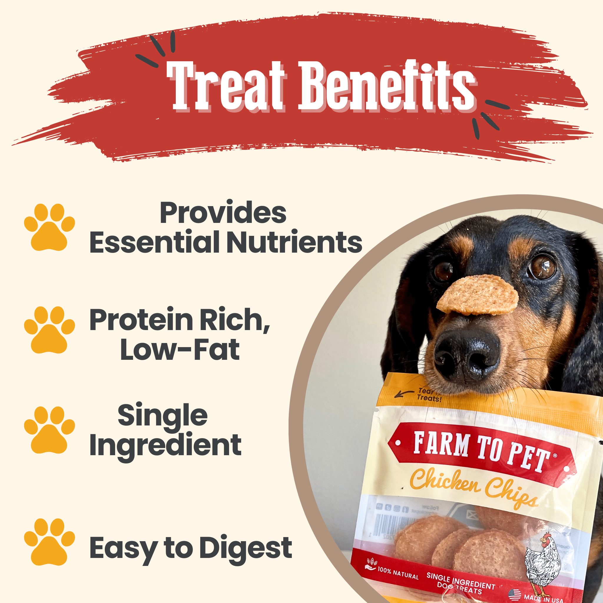 Chicken Chips Snack Pack Bundles | Dog Party Favors & Training Treats - MaisonBeach