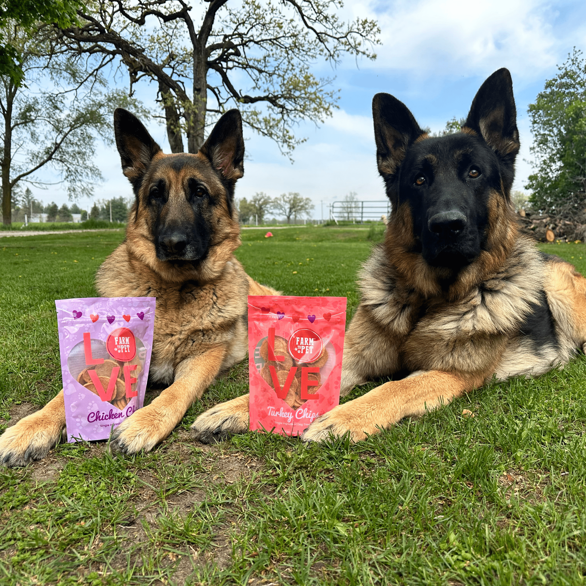 Puppy Love Dog Treat Duo | Poultry Chip Variety Pack - MaisonBeach