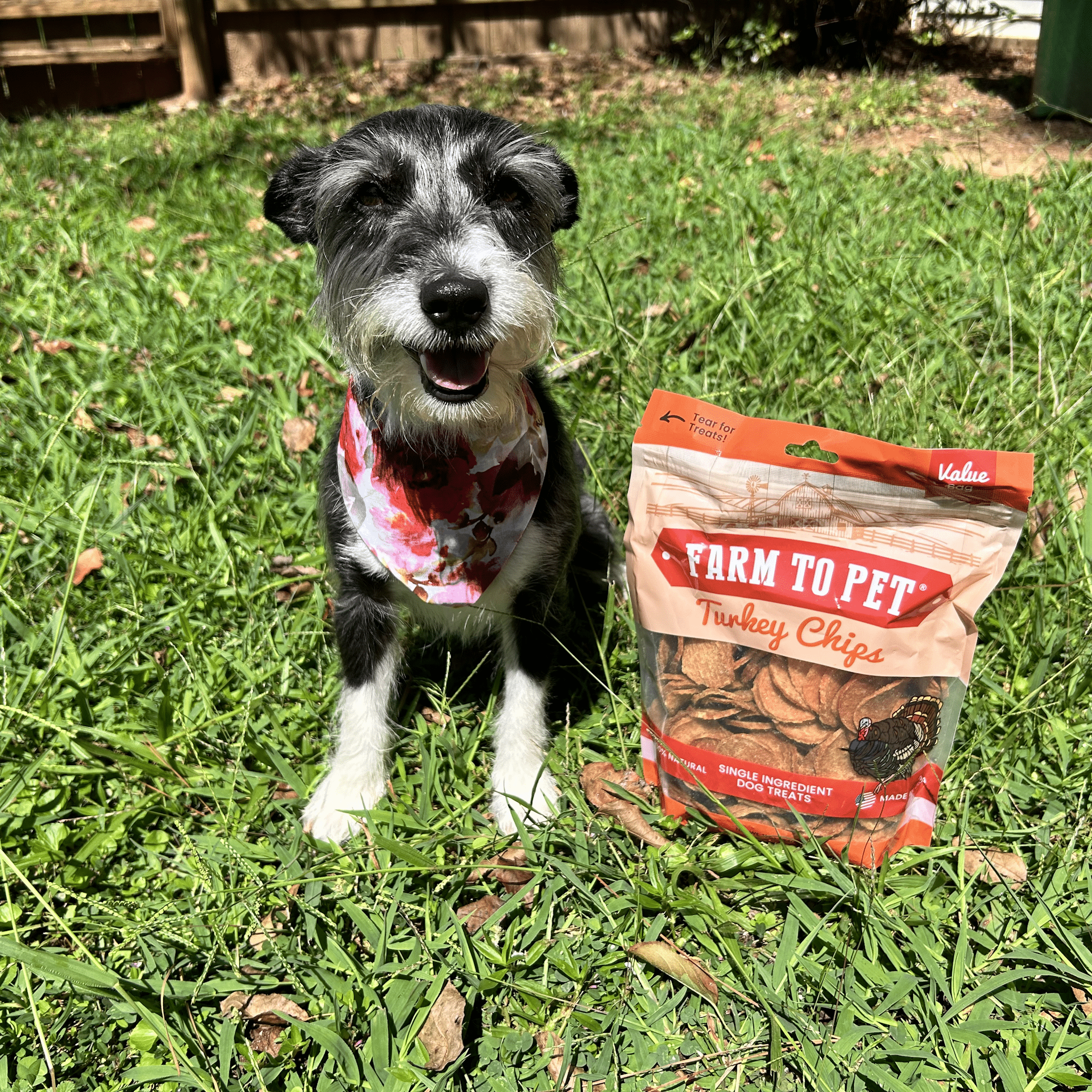 Turkey Chips for Dogs | All-Natural Single-Ingredient Healthy Dog Treats - MaisonBeach