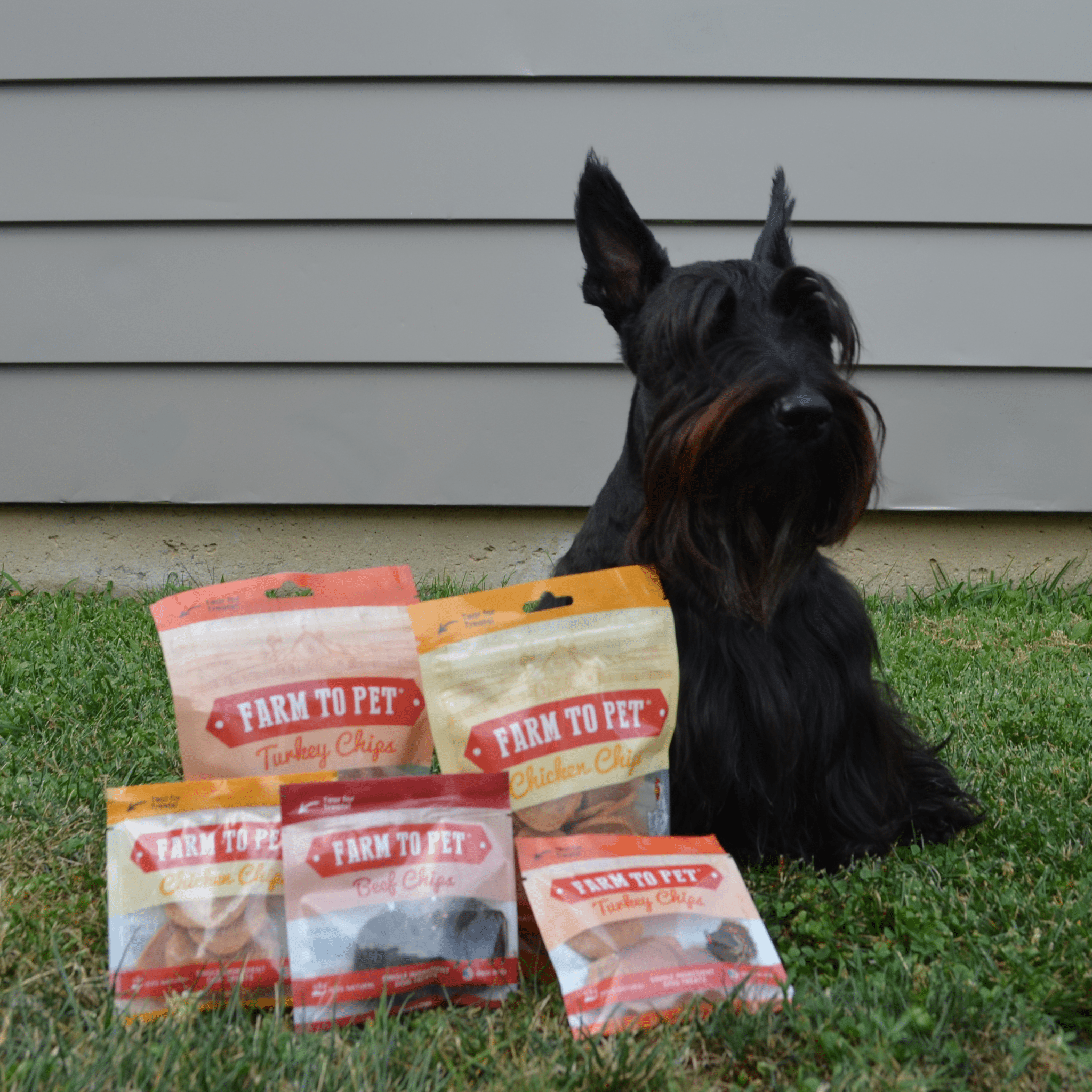 Puppy Packs 'n Snacks Dog Treat Starter Pack | Single-Ingredient Training Treats - MaisonBeach
