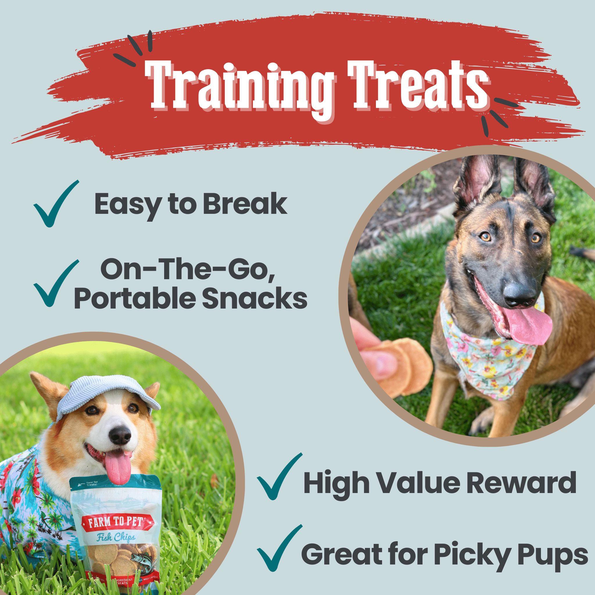 Fish Chips for Dogs | Wild-Caught Fish Dog Treats - MaisonBeach