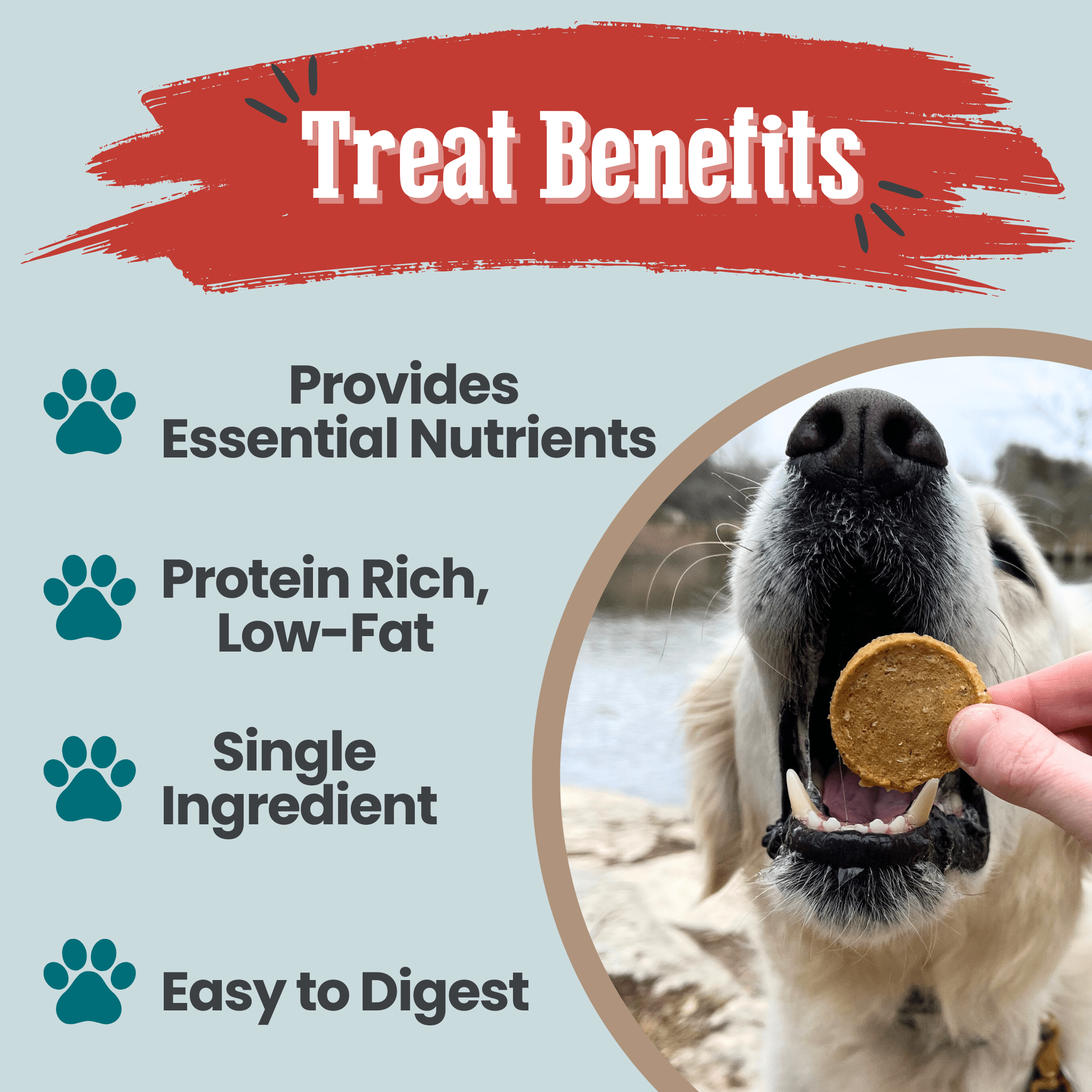Fish Chips for Dogs | Wild-Caught Fish Dog Treats - MaisonBeach