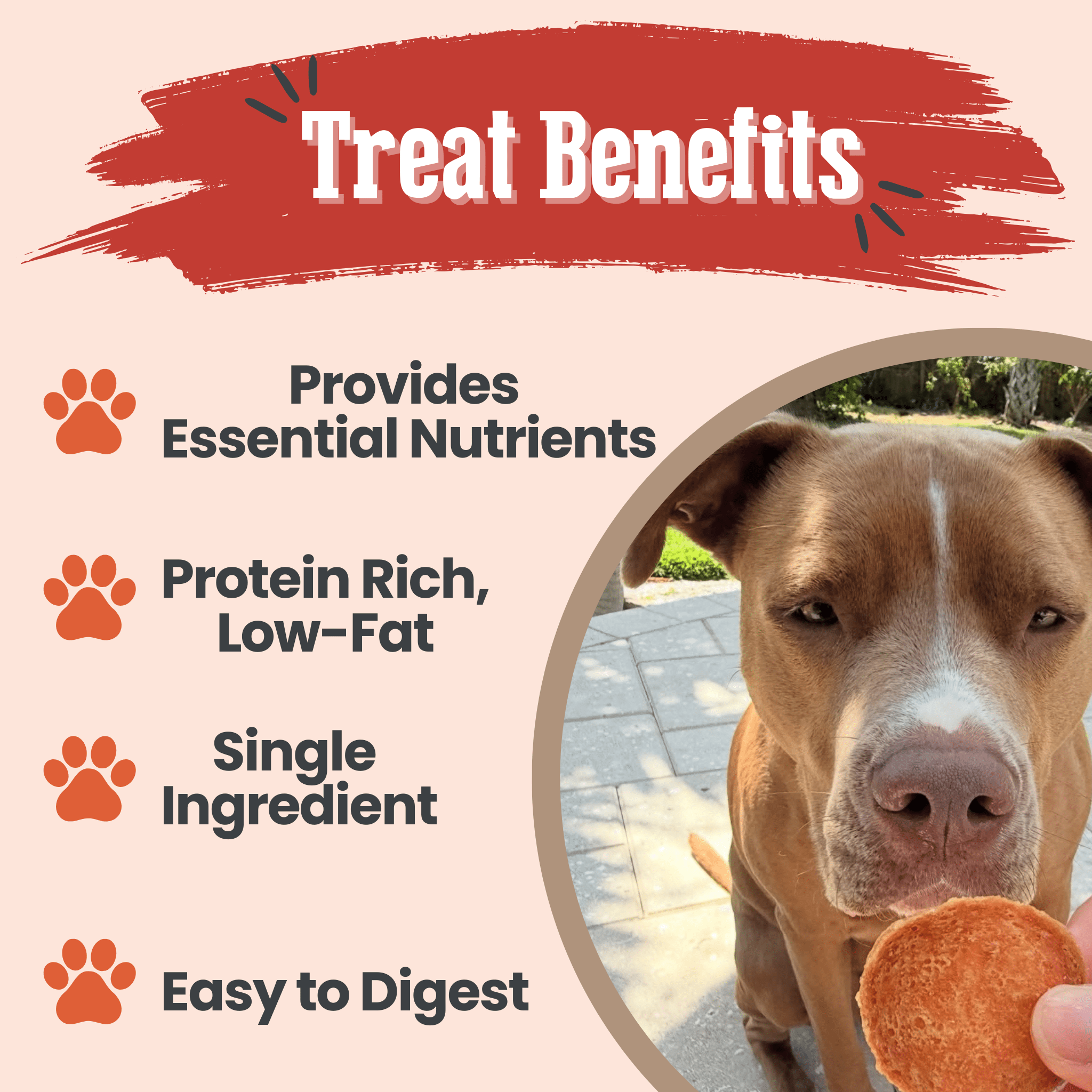 Turkey Chips for Dogs | All-Natural Single-Ingredient Healthy Dog Treats - MaisonBeach