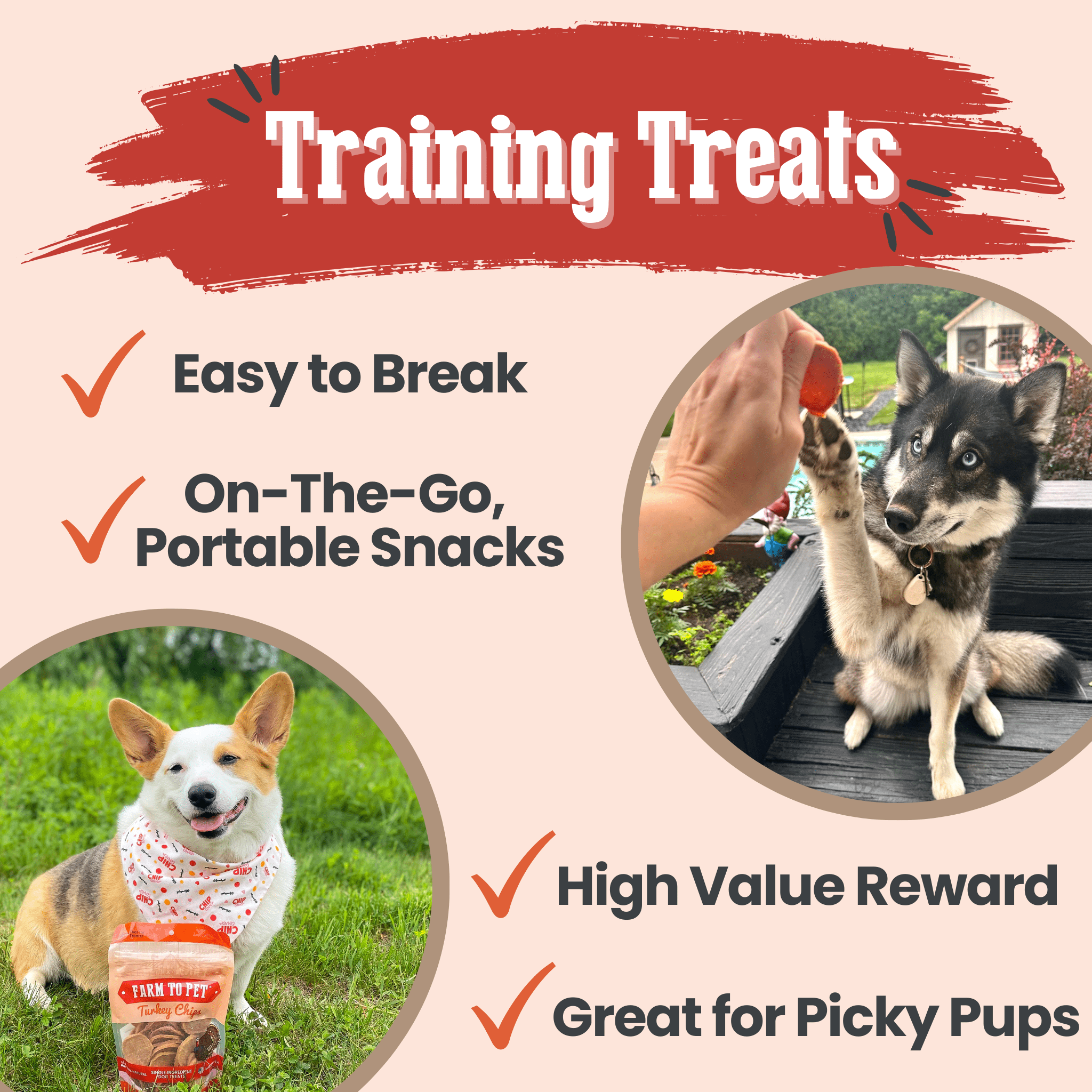 Turkey Chips for Dogs | All-Natural Single-Ingredient Healthy Dog Treats - MaisonBeach