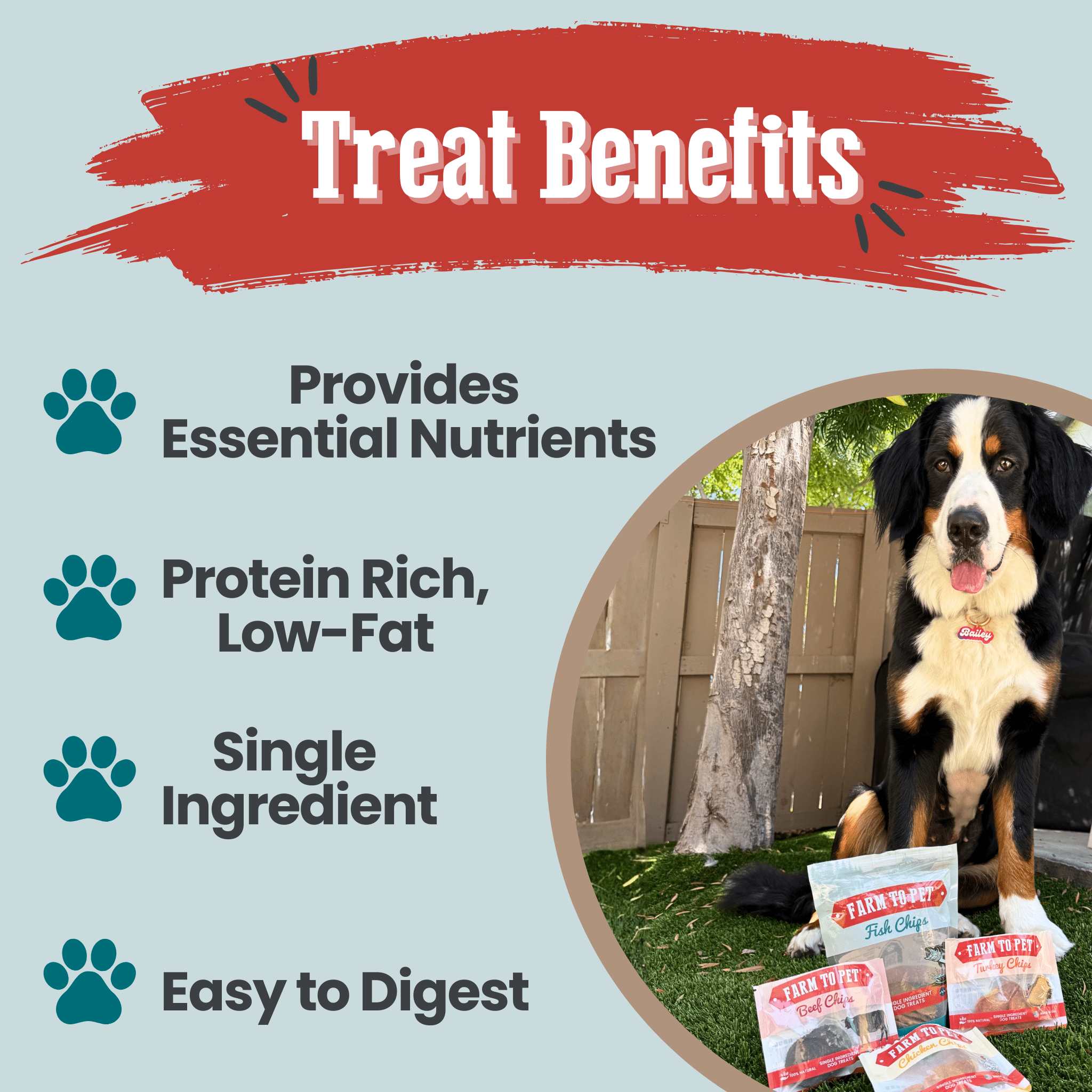Puppy Packs 'n Snacks Dog Treat Starter Pack | Single-Ingredient Training Treats - MaisonBeach