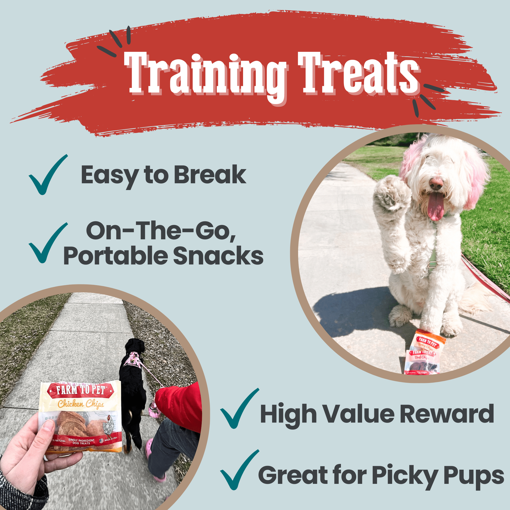 Puppy Packs 'n Snacks Dog Treat Starter Pack | Single-Ingredient Training Treats - MaisonBeach