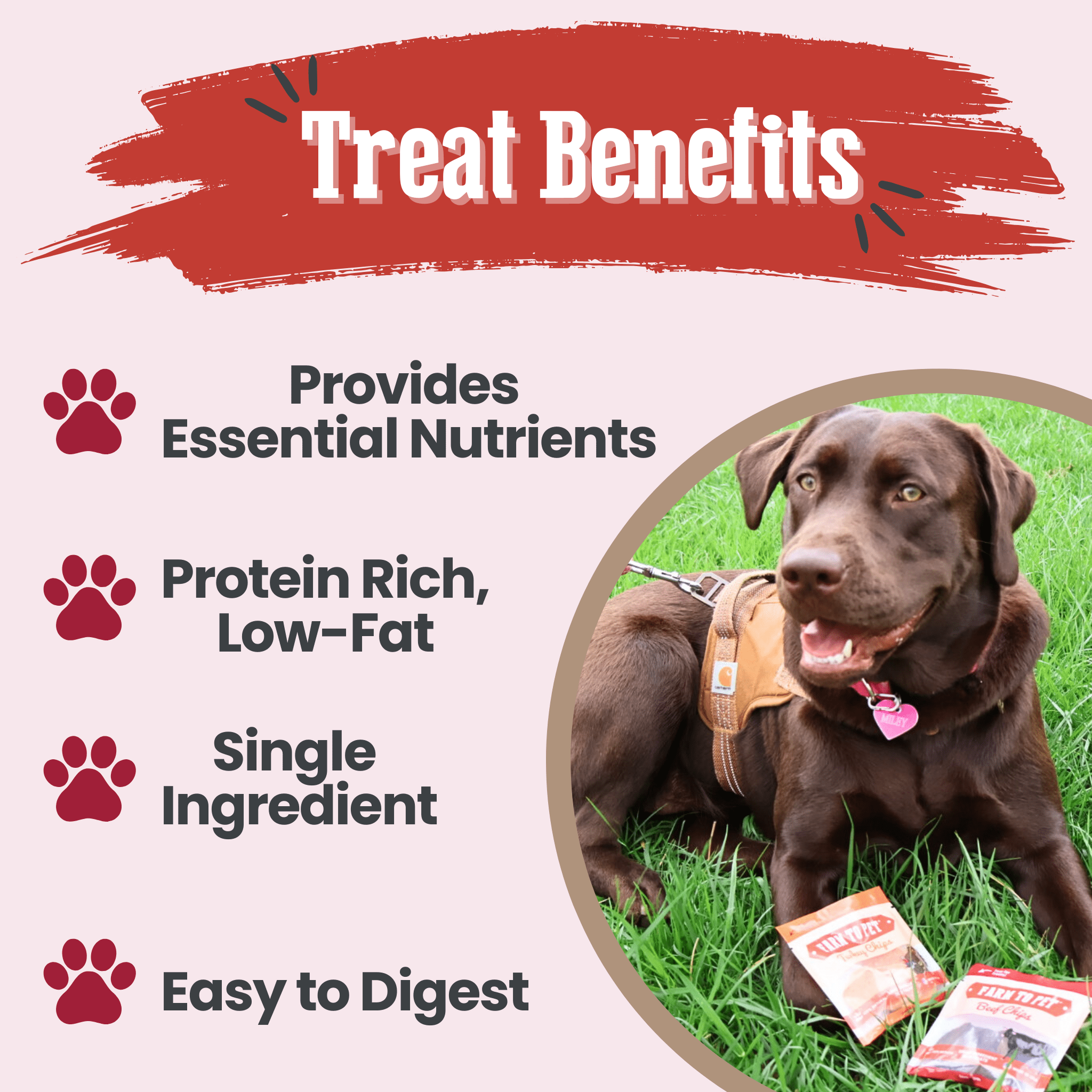 Puppy Packs 'n Snacks Dog Treat Starter Pack | Single-Ingredient Training Treats - MaisonBeach