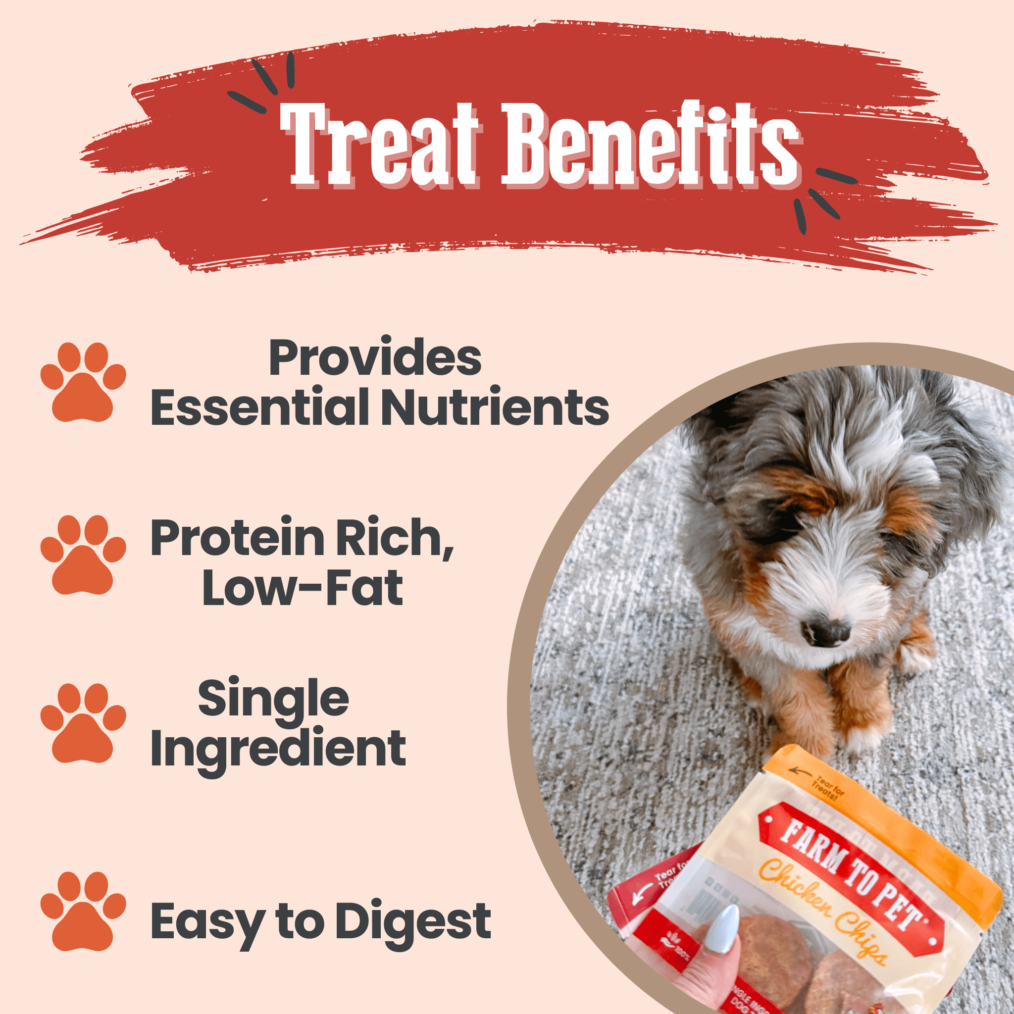 Puppy Packs 'n Snacks Dog Treat Starter Pack | Single-Ingredient Training Treats - MaisonBeach