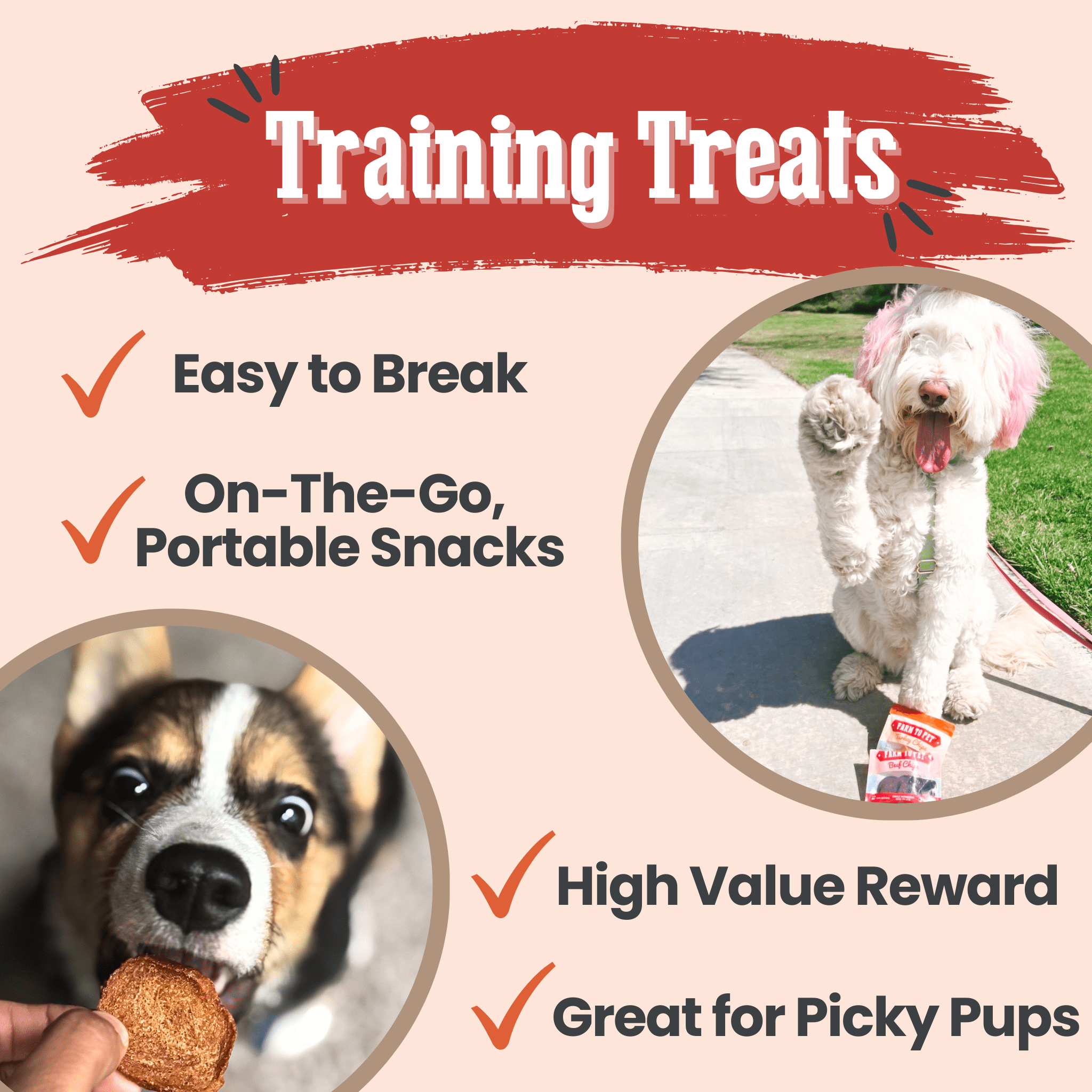 Puppy Packs 'n Snacks Dog Treat Starter Pack | Single-Ingredient Training Treats - MaisonBeach