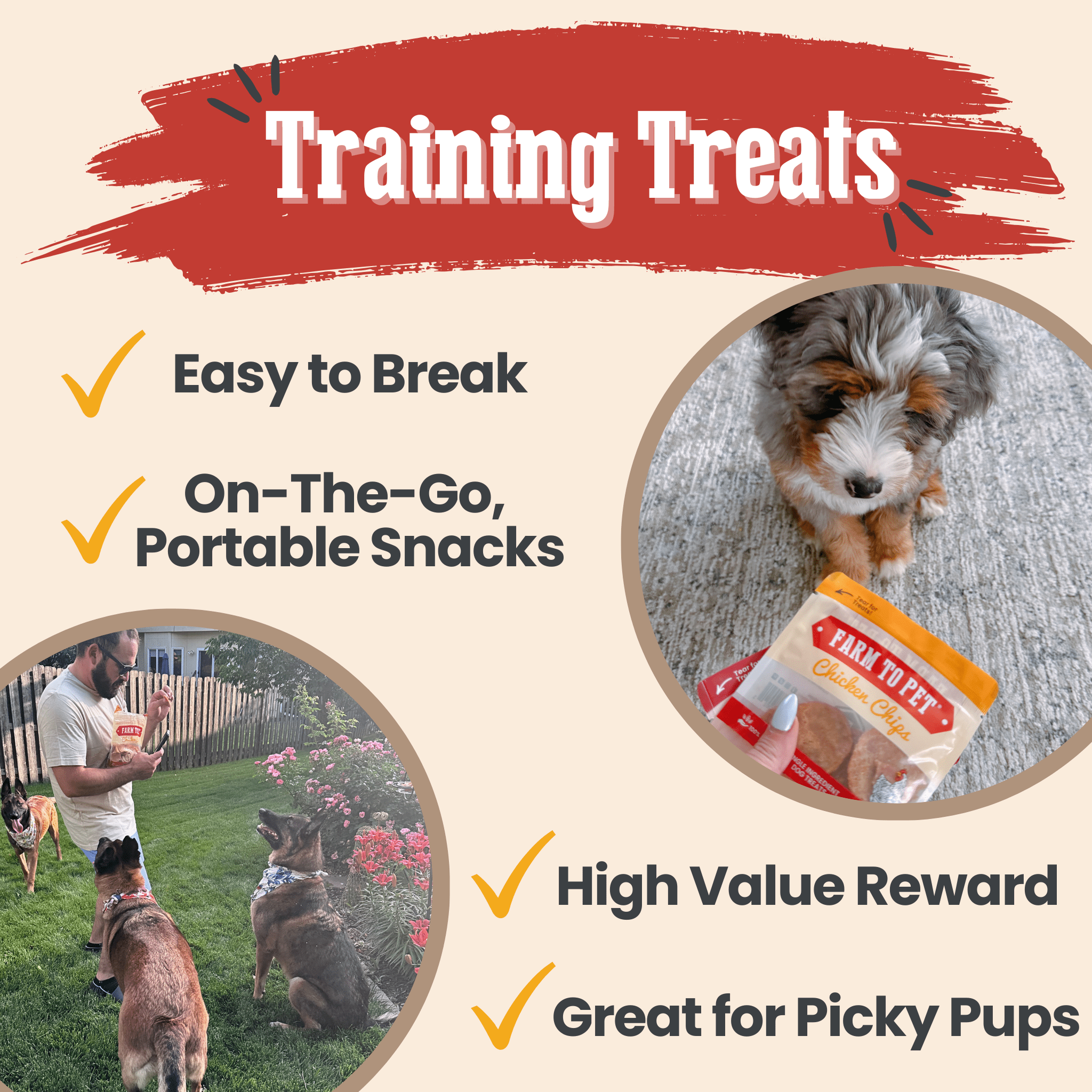 Snack Pack Dog Treat Sampler - MaisonBeach