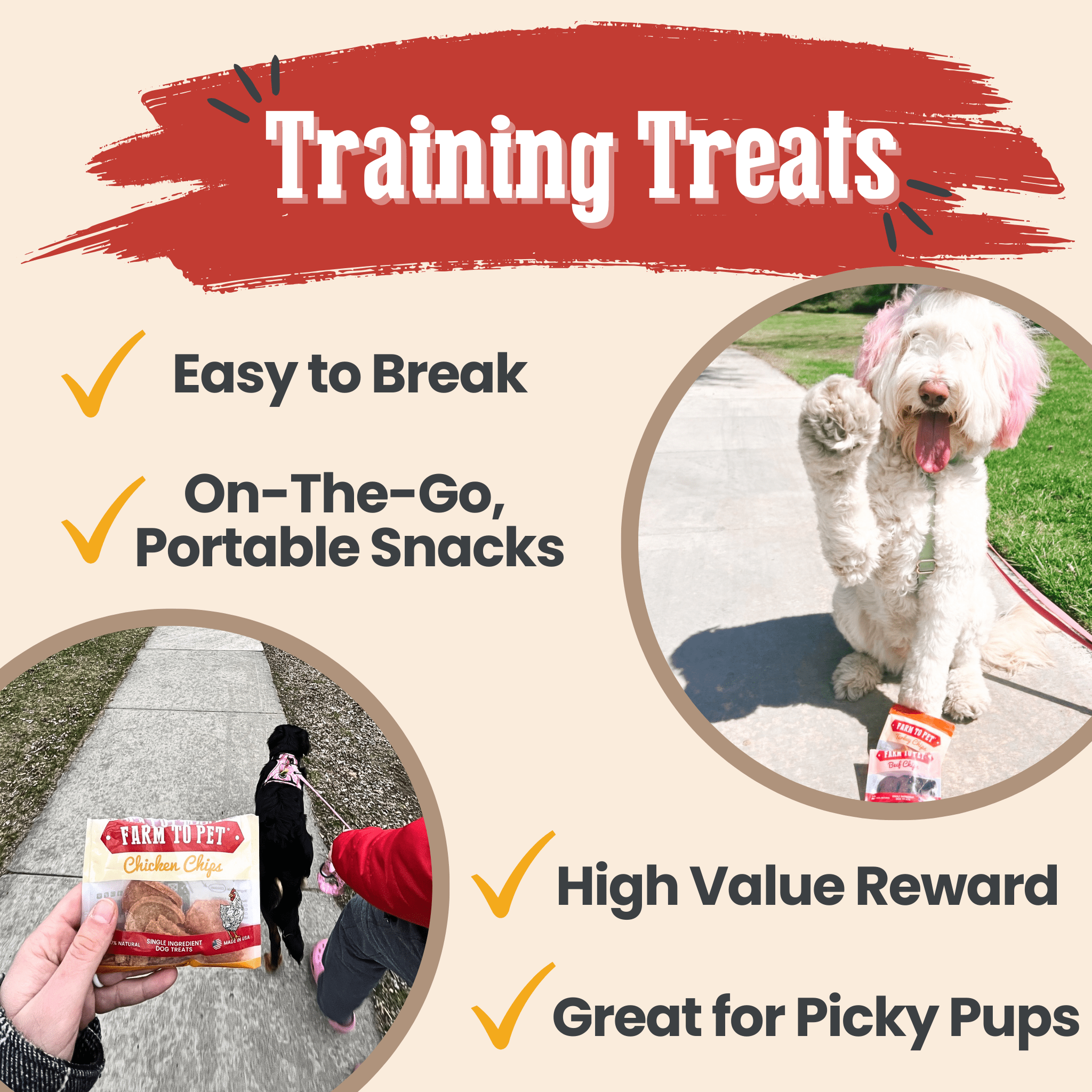 Snack Pack Dog Treat Sampler - MaisonBeach