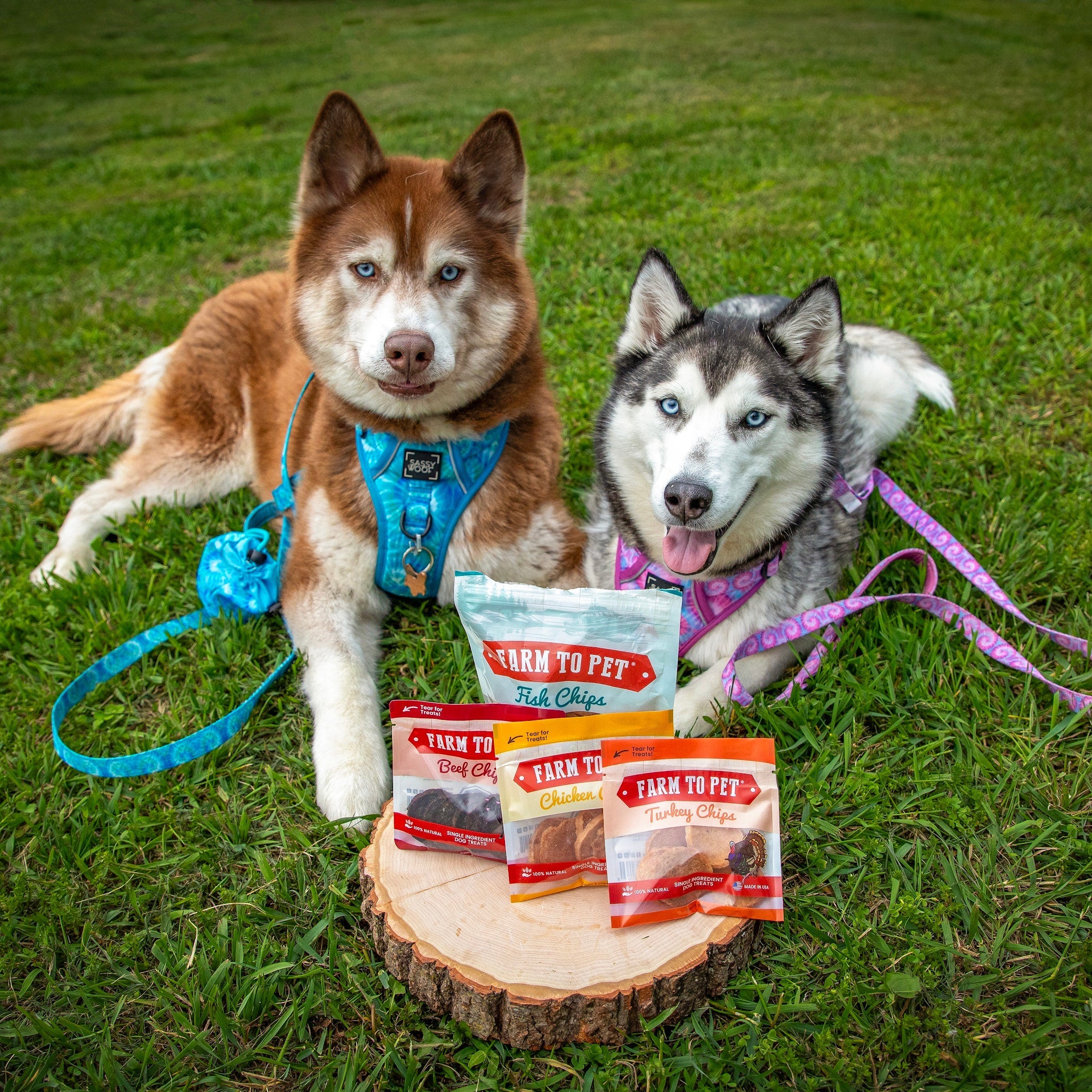 Puppy Packs 'n Snacks Dog Treat Starter Pack | Single-Ingredient Training Treats - MaisonBeach