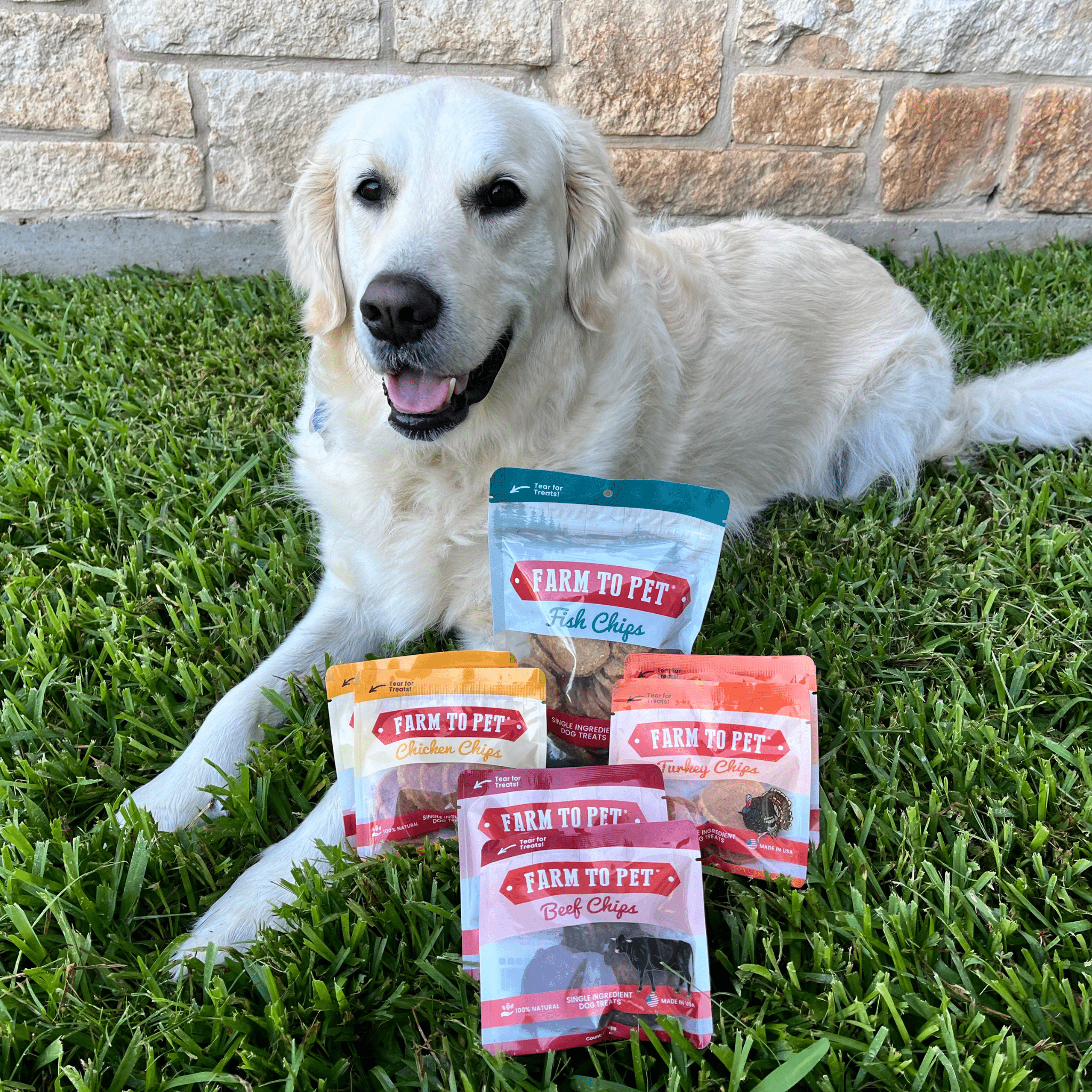 Puppy Packs 'n Snacks Dog Treat Starter Pack | Single-Ingredient Training Treats - MaisonBeach
