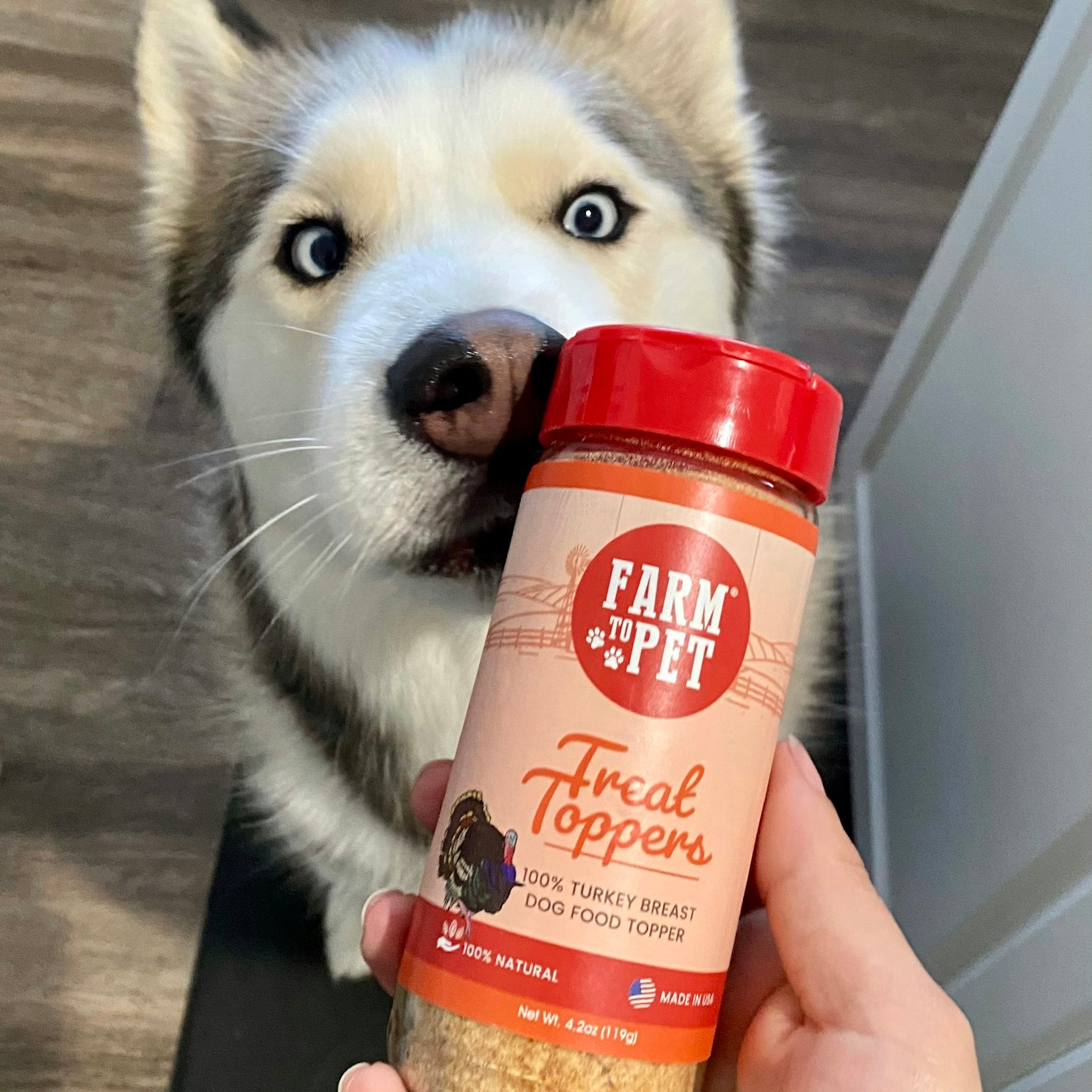 Treat Topper Turkey Dog Food Topper | Healthy Meal Supplement for Dogs - MaisonBeach