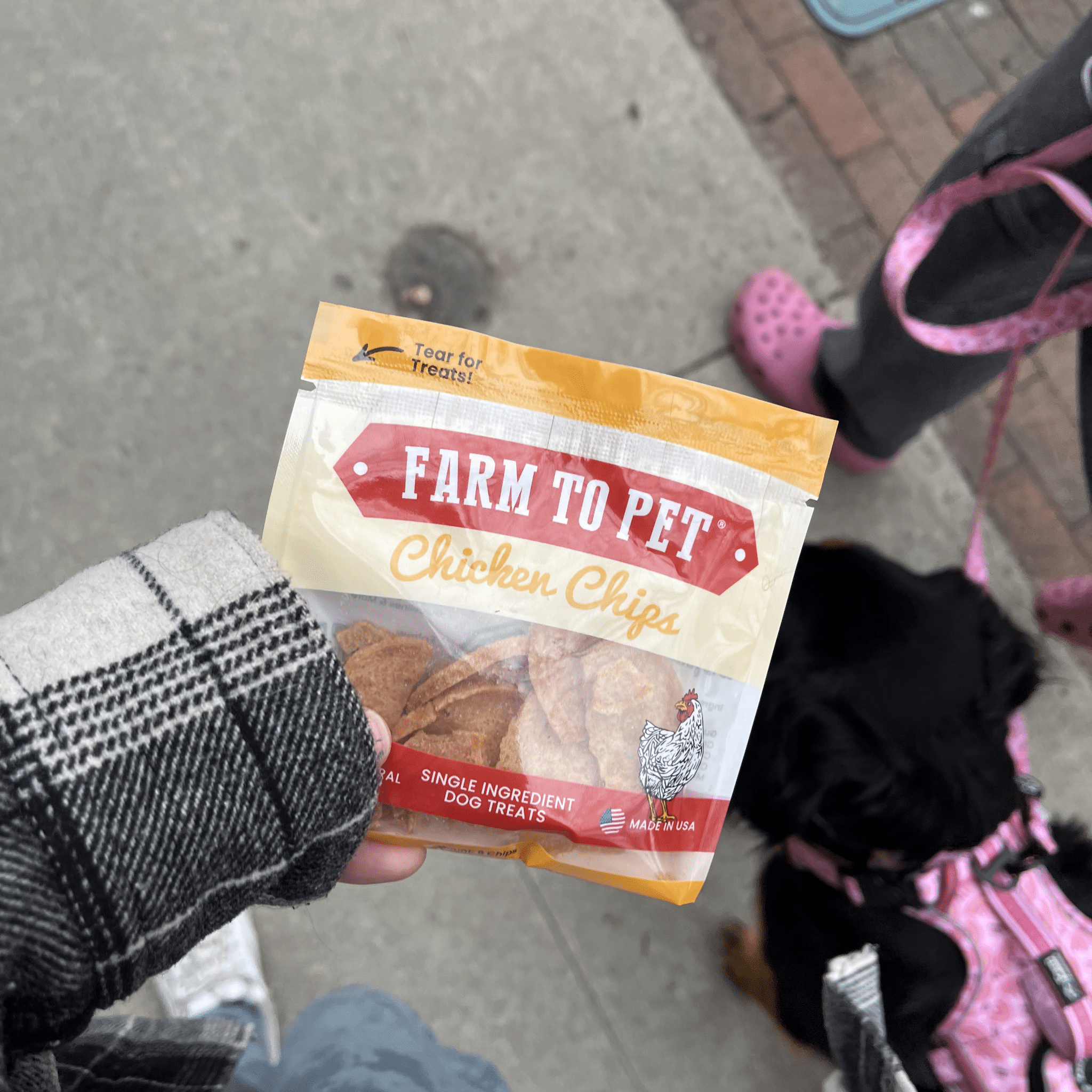 Chicken Chips Snack Pack Bundles | Dog Party Favors & Training Treats - MaisonBeach
