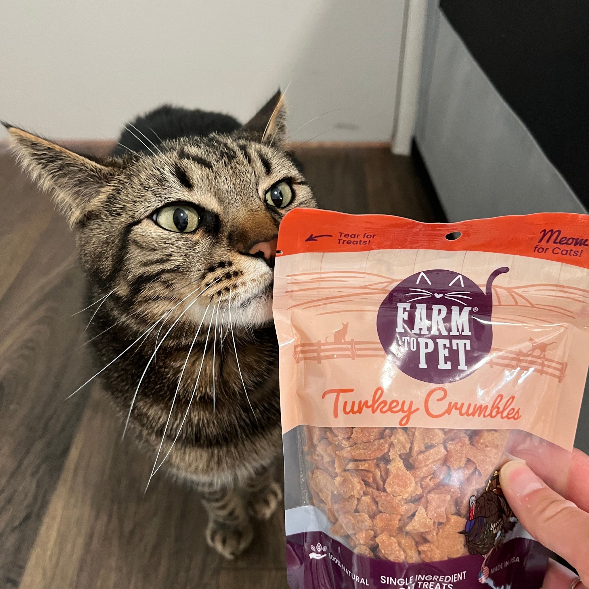 Turkey Crumbles for Cats | Grain-Free Cat Treats - MaisonBeach