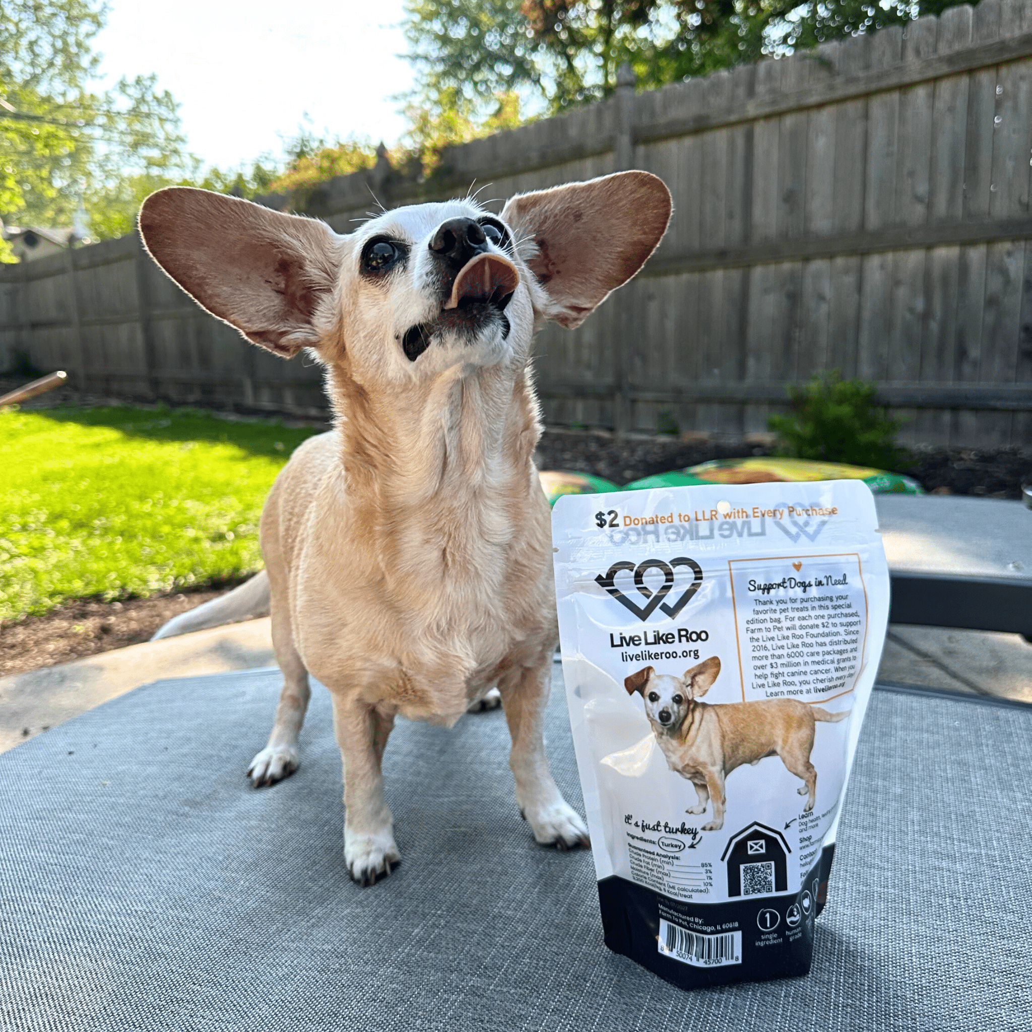 Live Like Roo Turkey Chips for Dogs | Dog Treats That Give Back - MaisonBeach