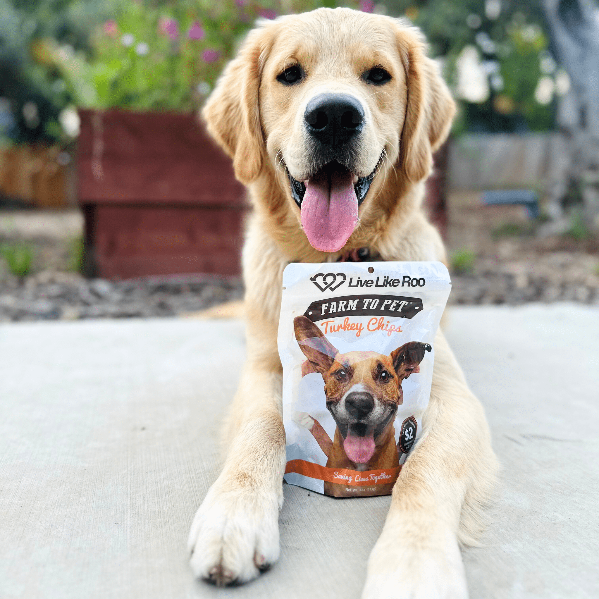 Live Like Roo Turkey Chips for Dogs | Dog Treats That Give Back - MaisonBeach