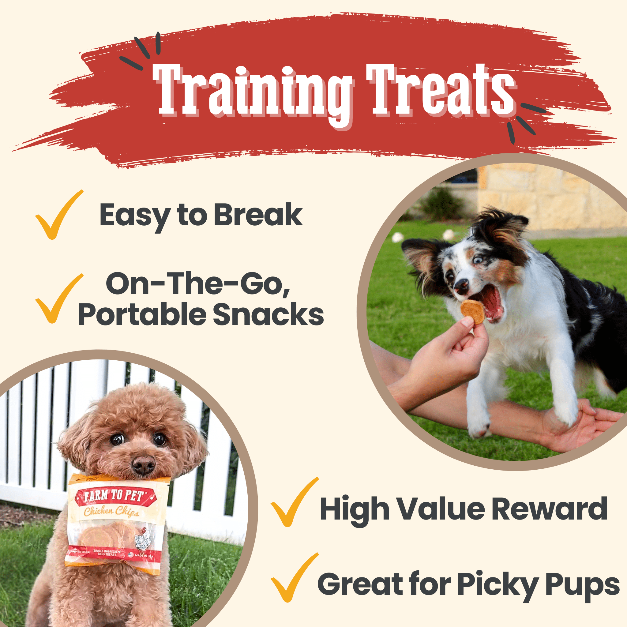 Chicken Chips Snack Pack Bundles | Dog Party Favors & Training Treats - MaisonBeach