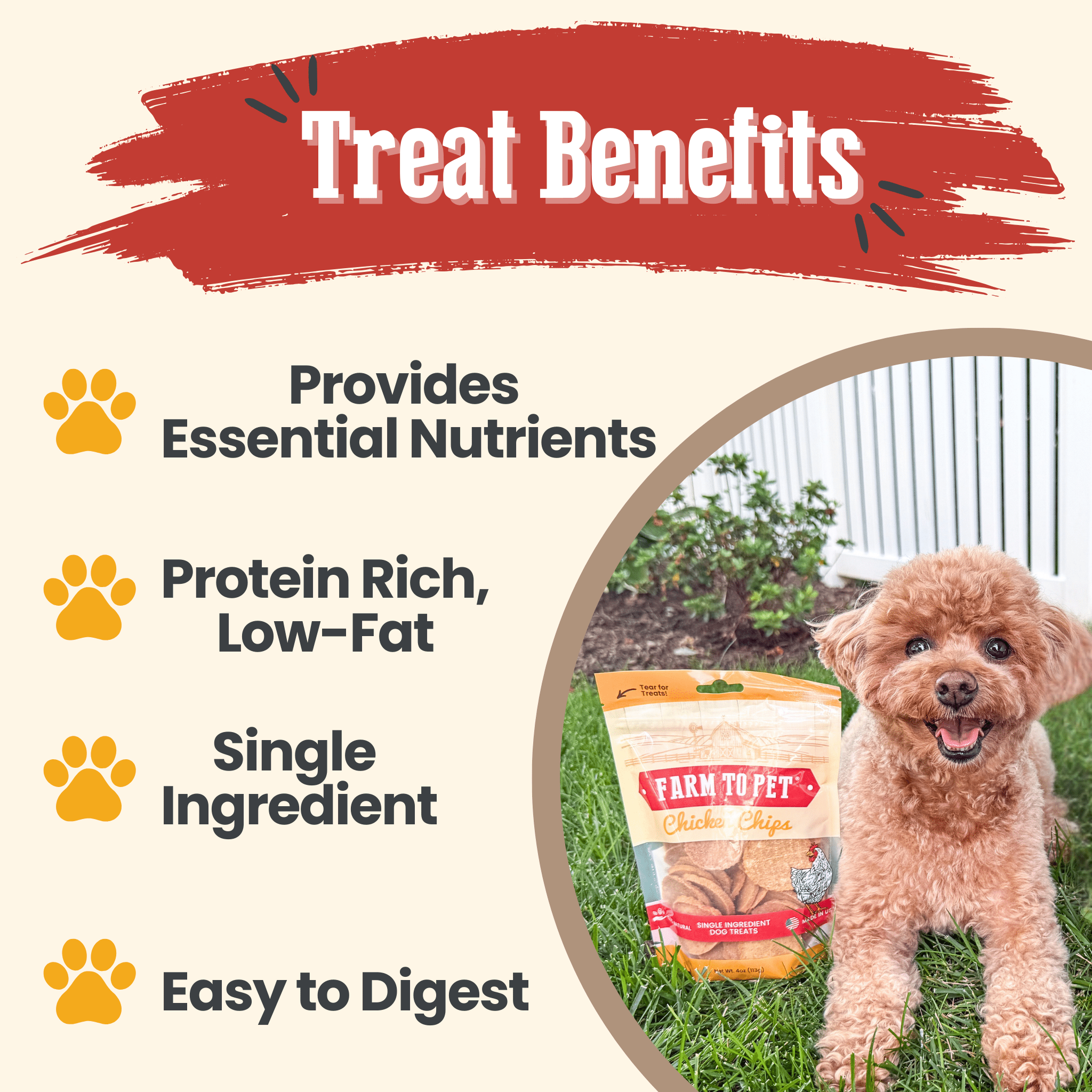 Chicken Chips for Dogs | All-Natural Single-Ingredient Dog Treats - MaisonBeach