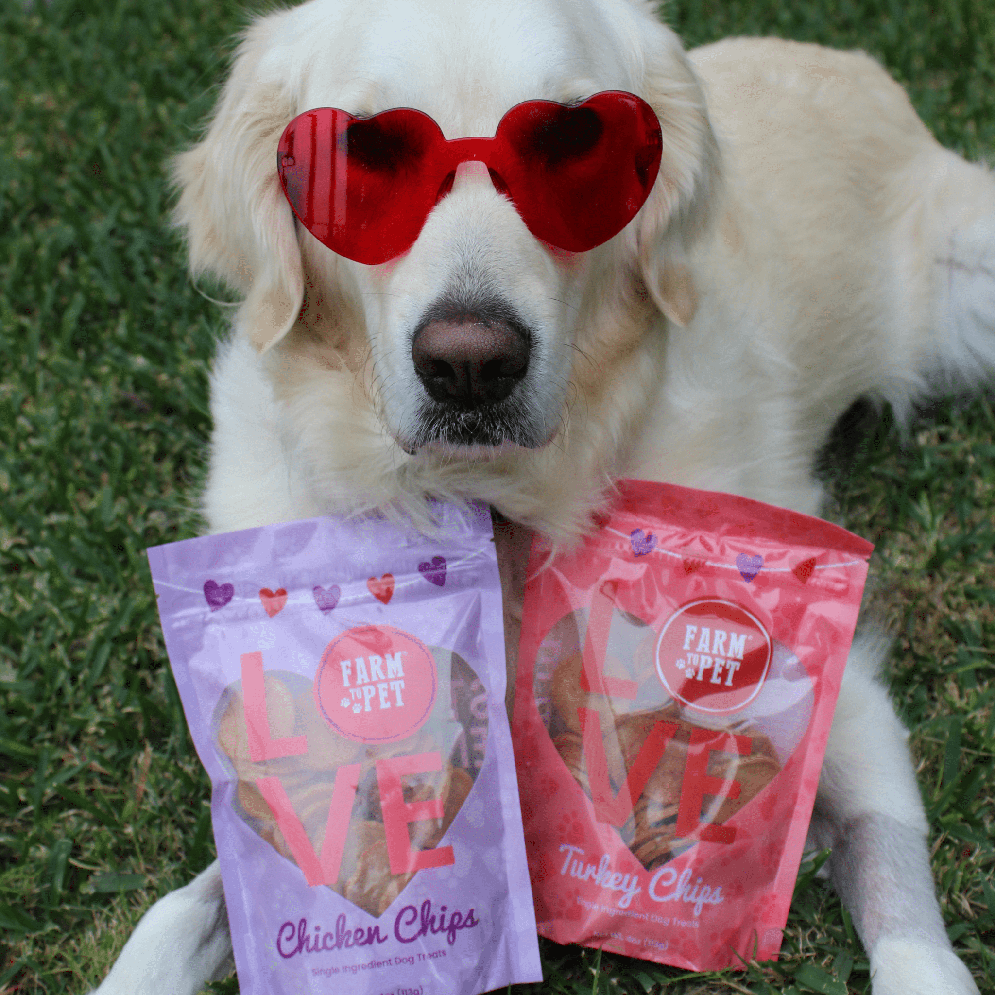 Puppy Love Dog Treat Duo | Poultry Chip Variety Pack - MaisonBeach