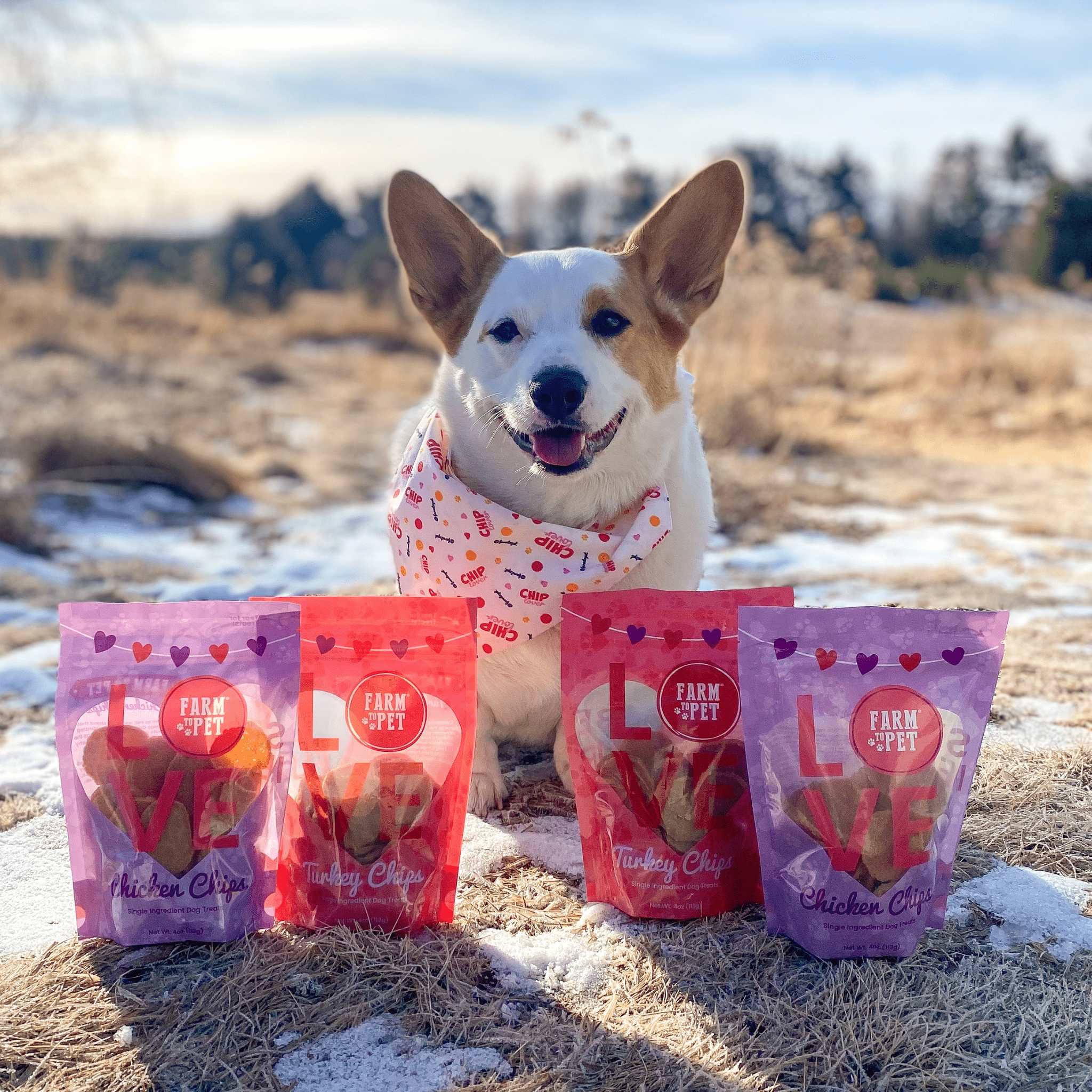 Puppy Love Dog Treat Duo | Poultry Chip Variety Pack - MaisonBeach